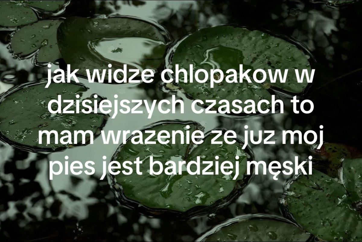 @weronika