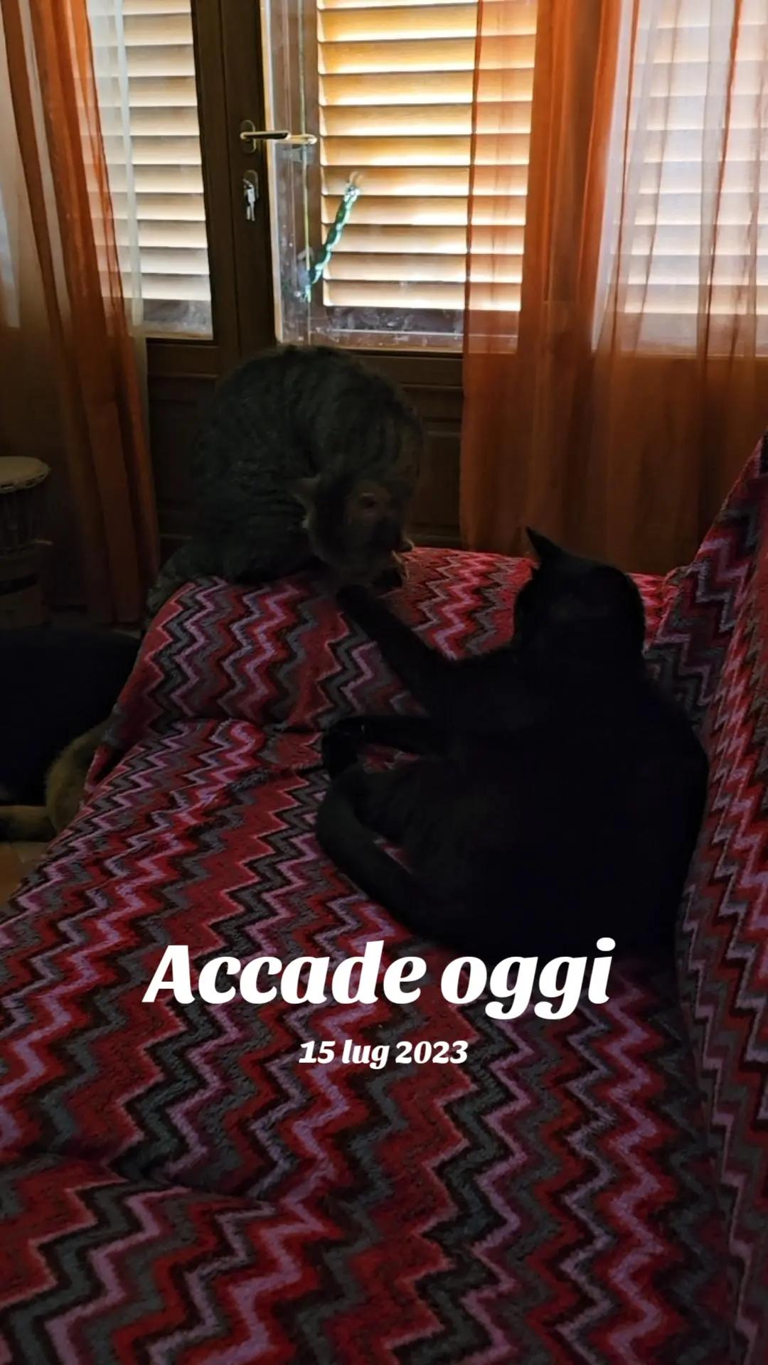 @Lisa Matteini