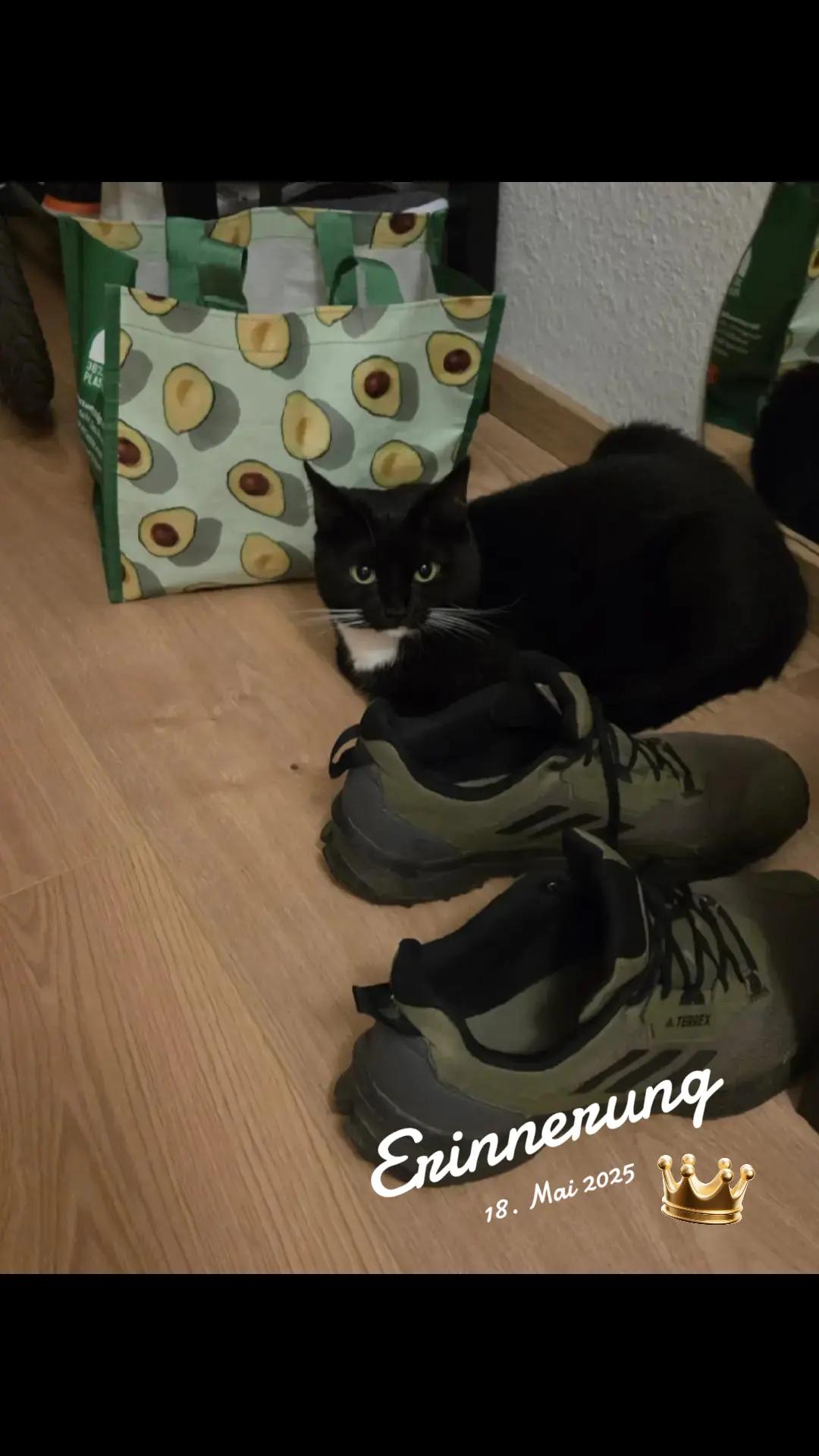 @👑😼Malia Die Königin😼👑