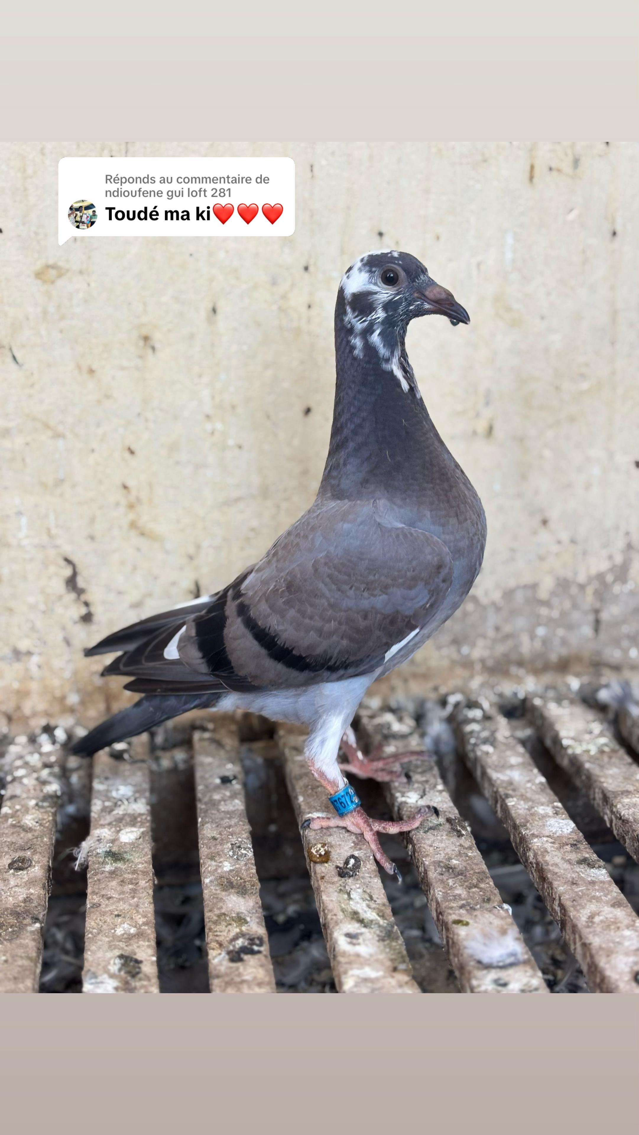 @OMZOLOFT🕊🦜🇸🇳