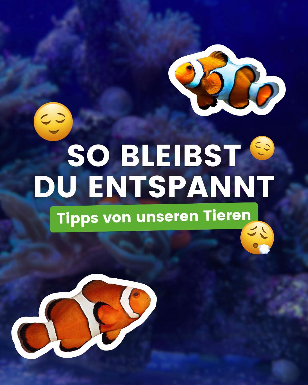 @Biosphäre Potsdam