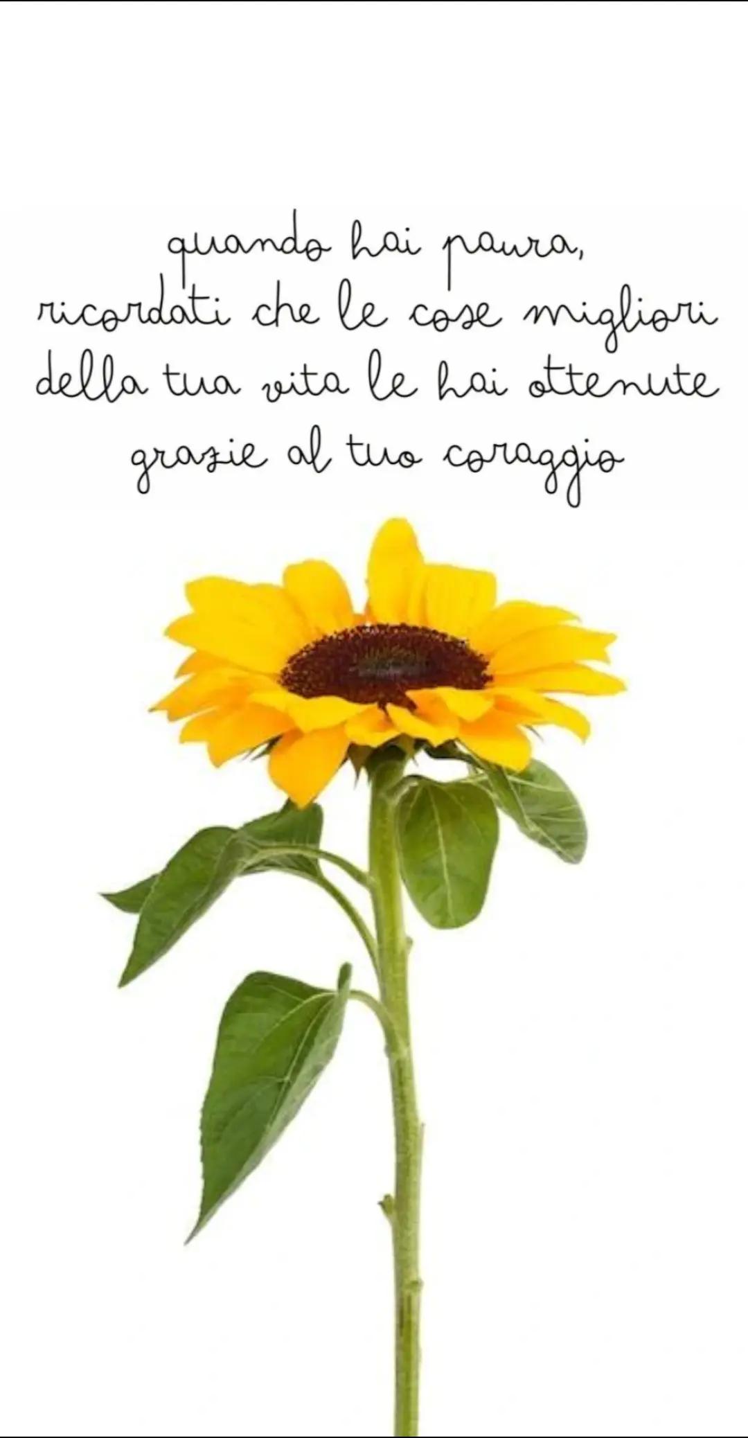 @Giovanna Tarallo ๐ป