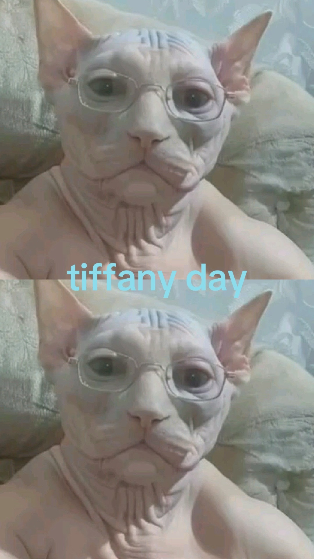@ijustpoppedabean