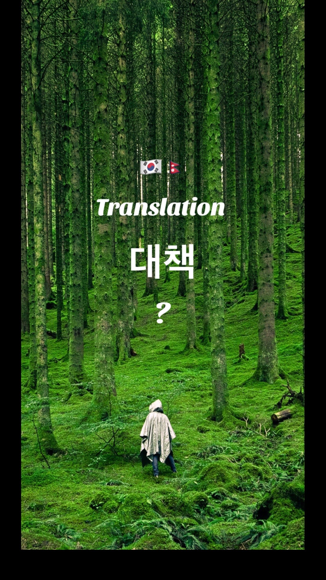@뻐덤깐차 라이