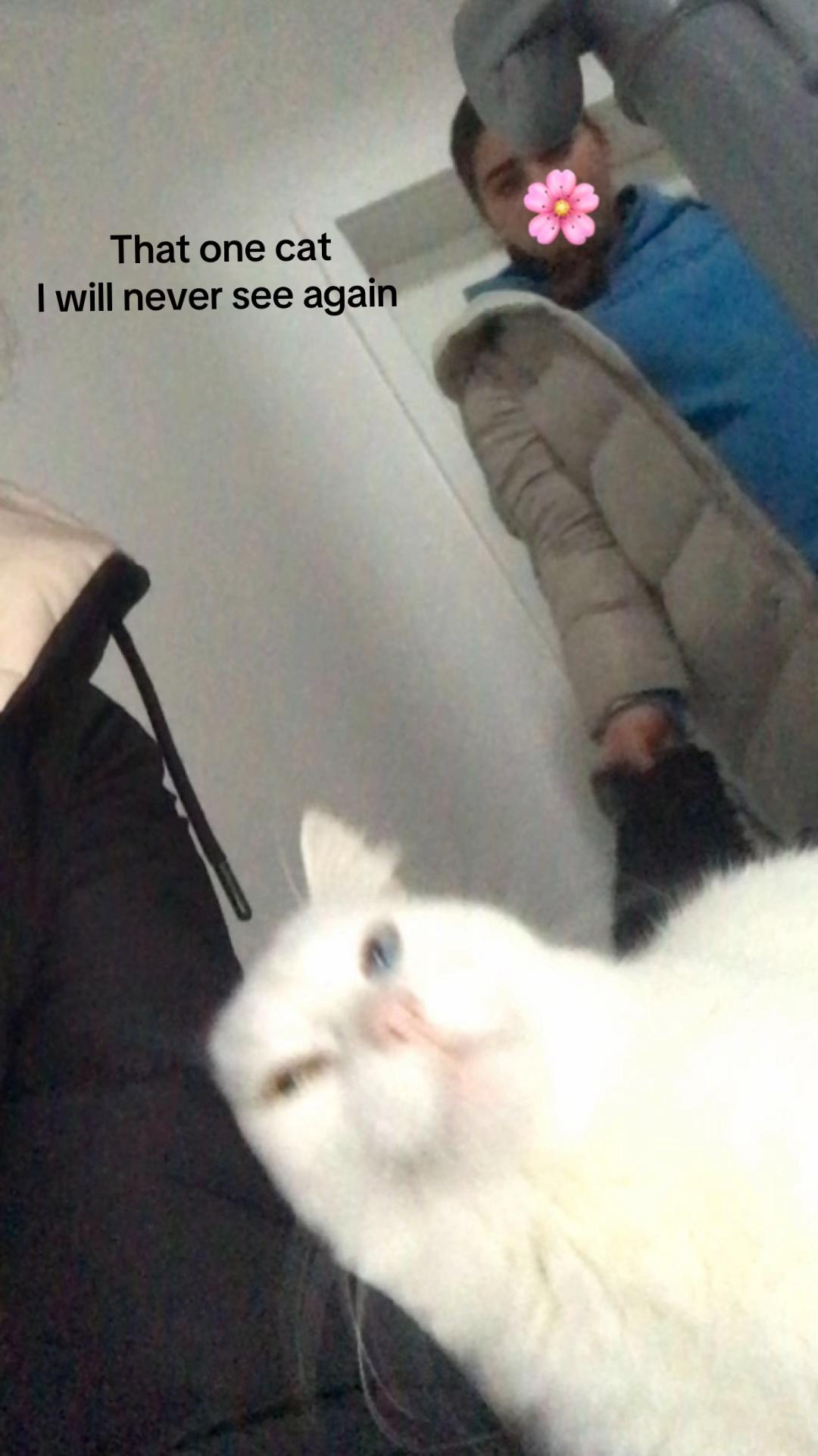 @itss.melissa72