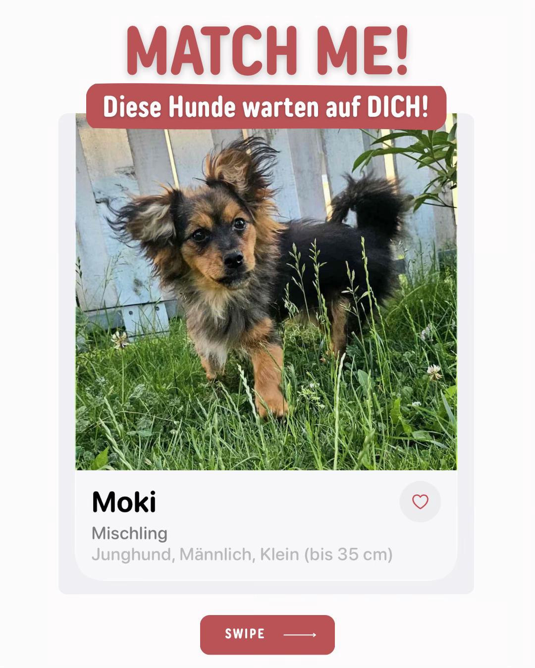 @Petch.Community