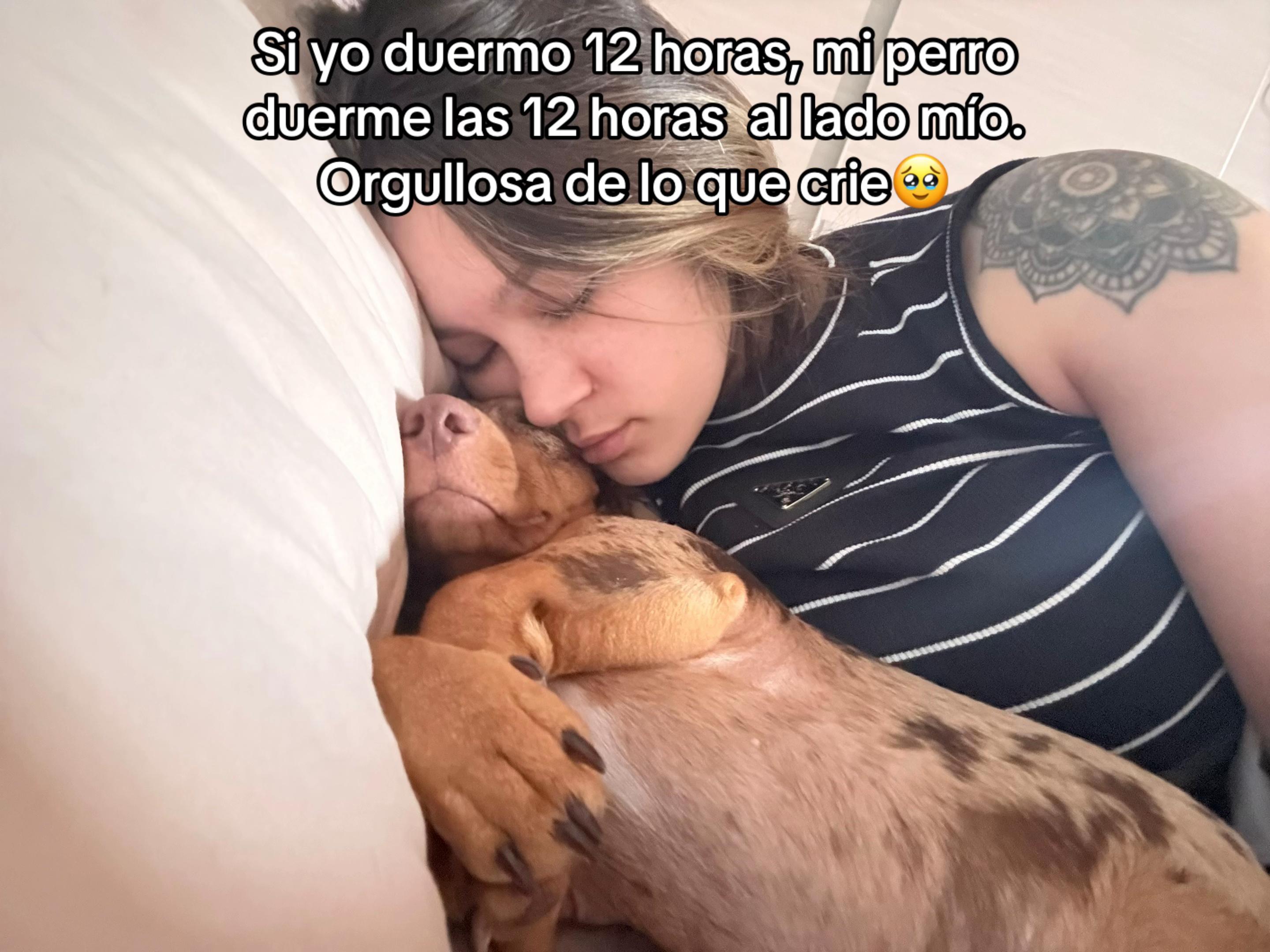 @Mariana Guillen