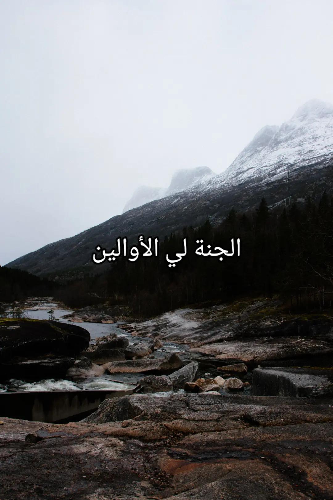 @القرآن الكريم