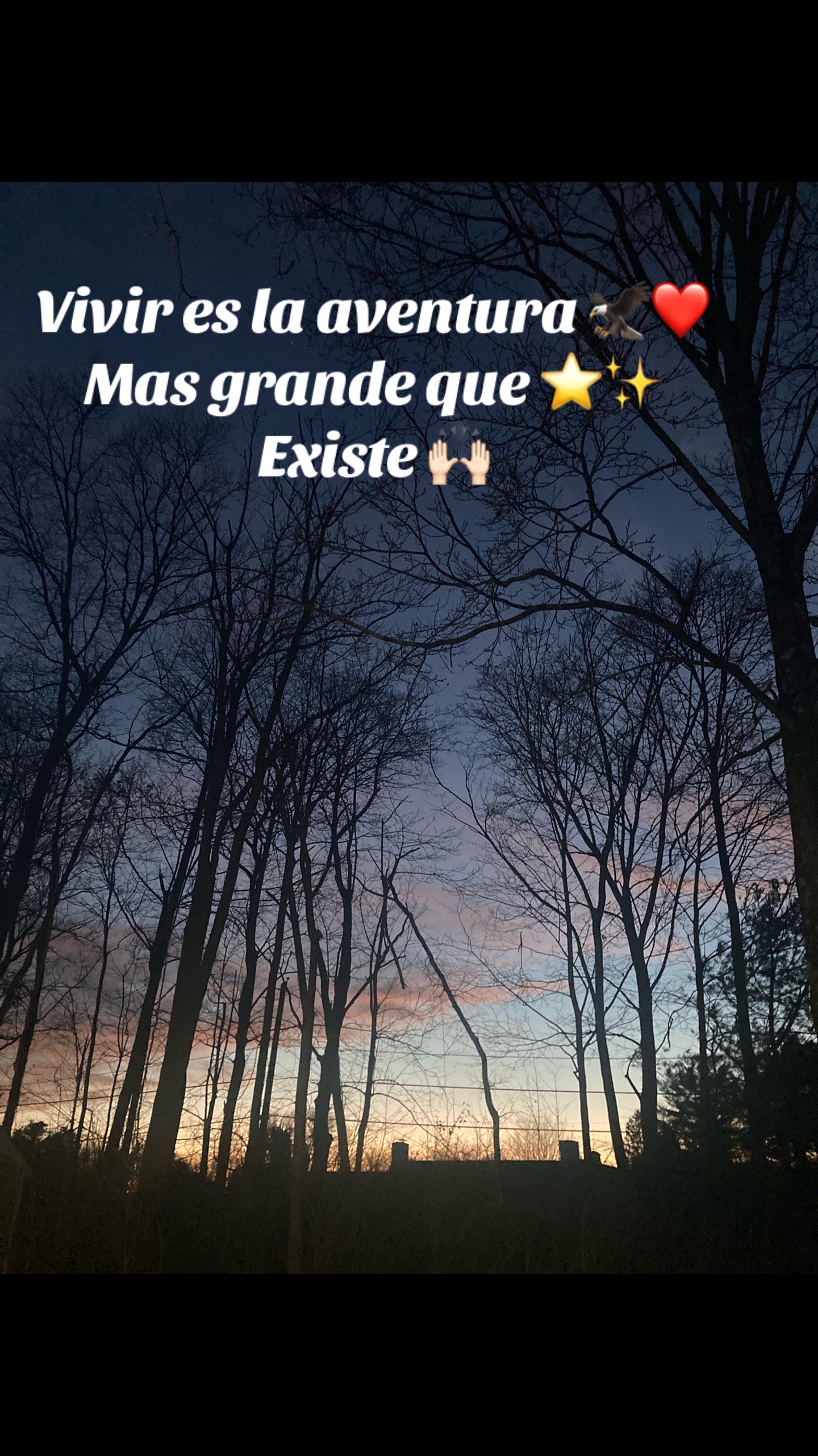 @Roxana🦋💖✨✨