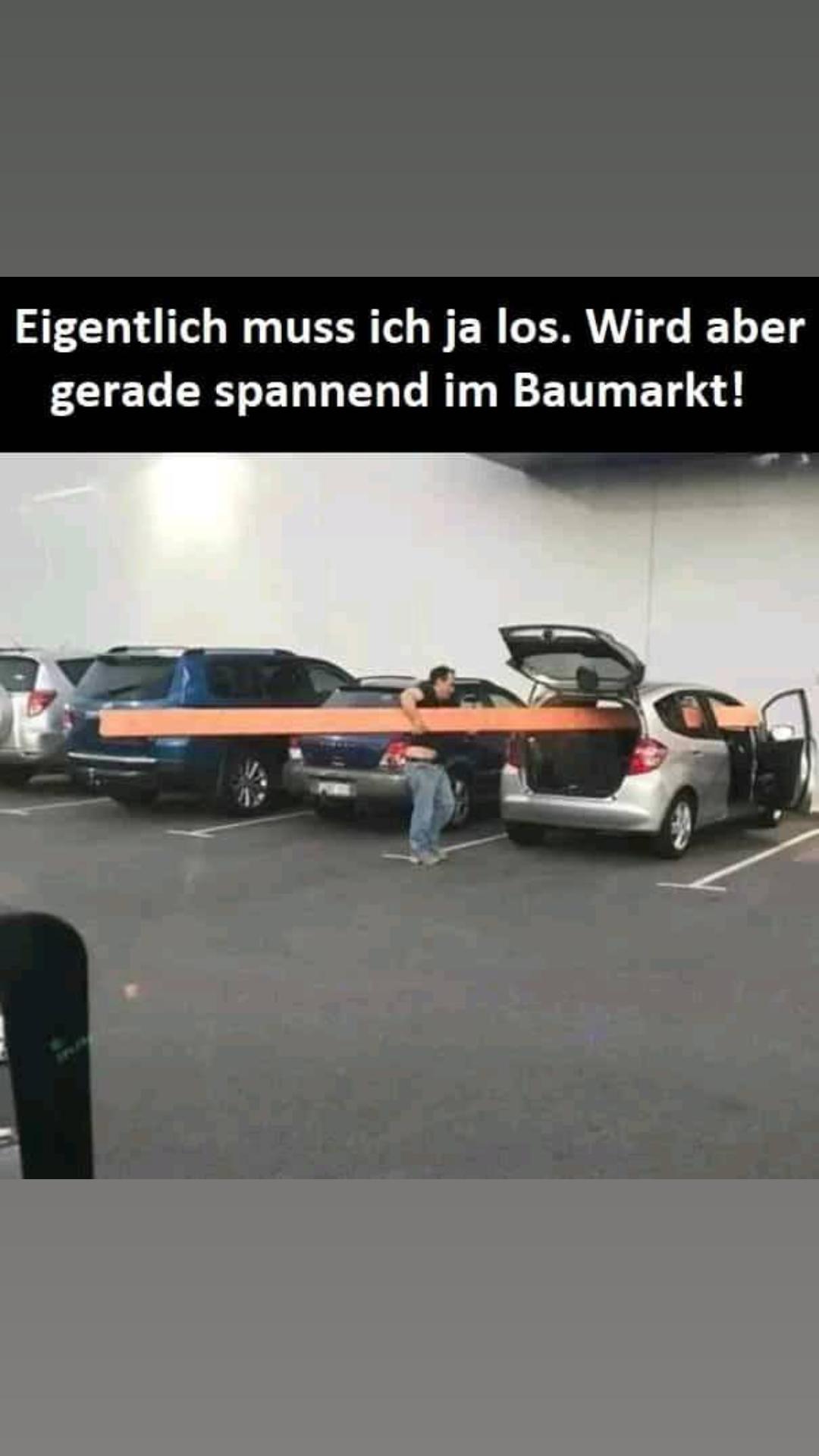 @🐗Fr&auml;nkischer-Rampen- Eber🐗