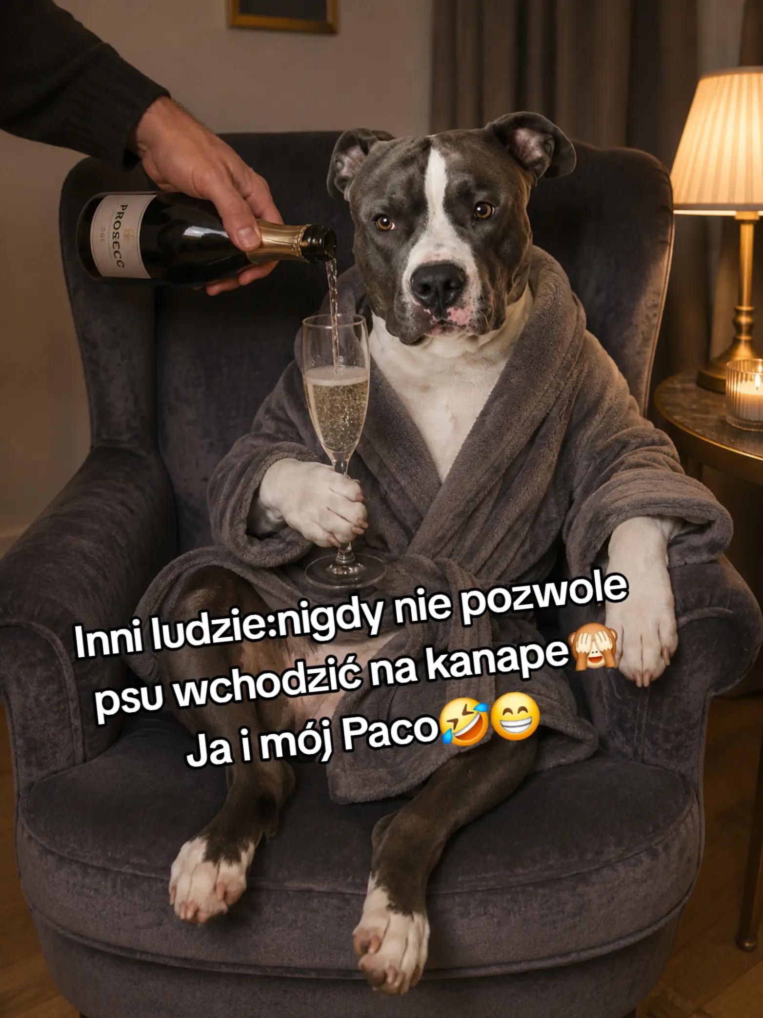 @Paco i ja💙