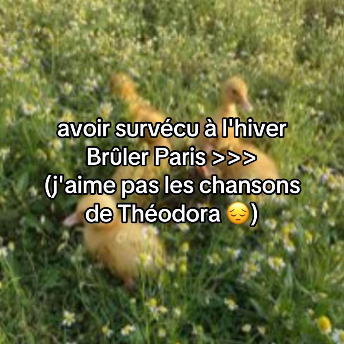 @alix 🕷️