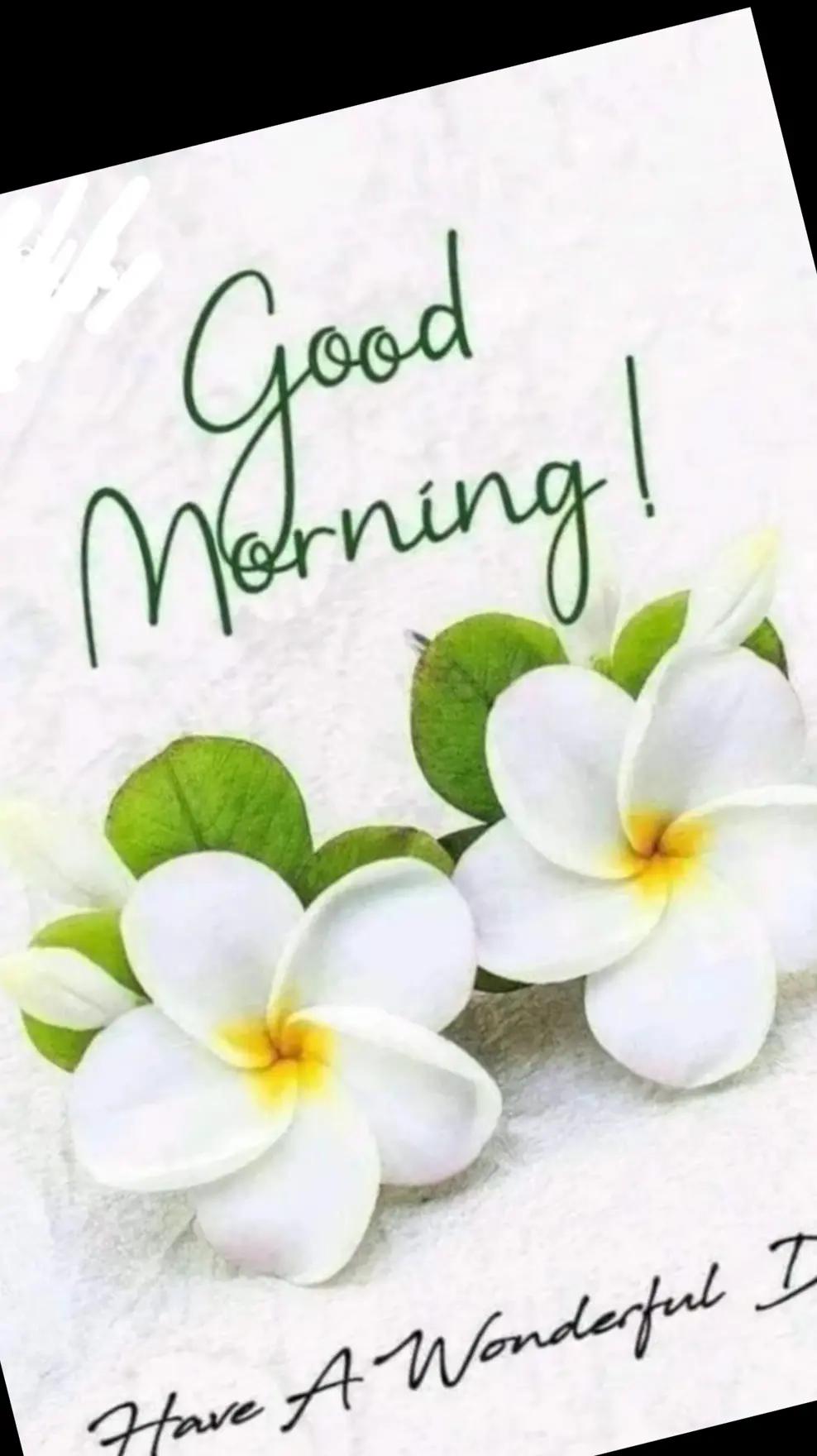 @Krunal Priti