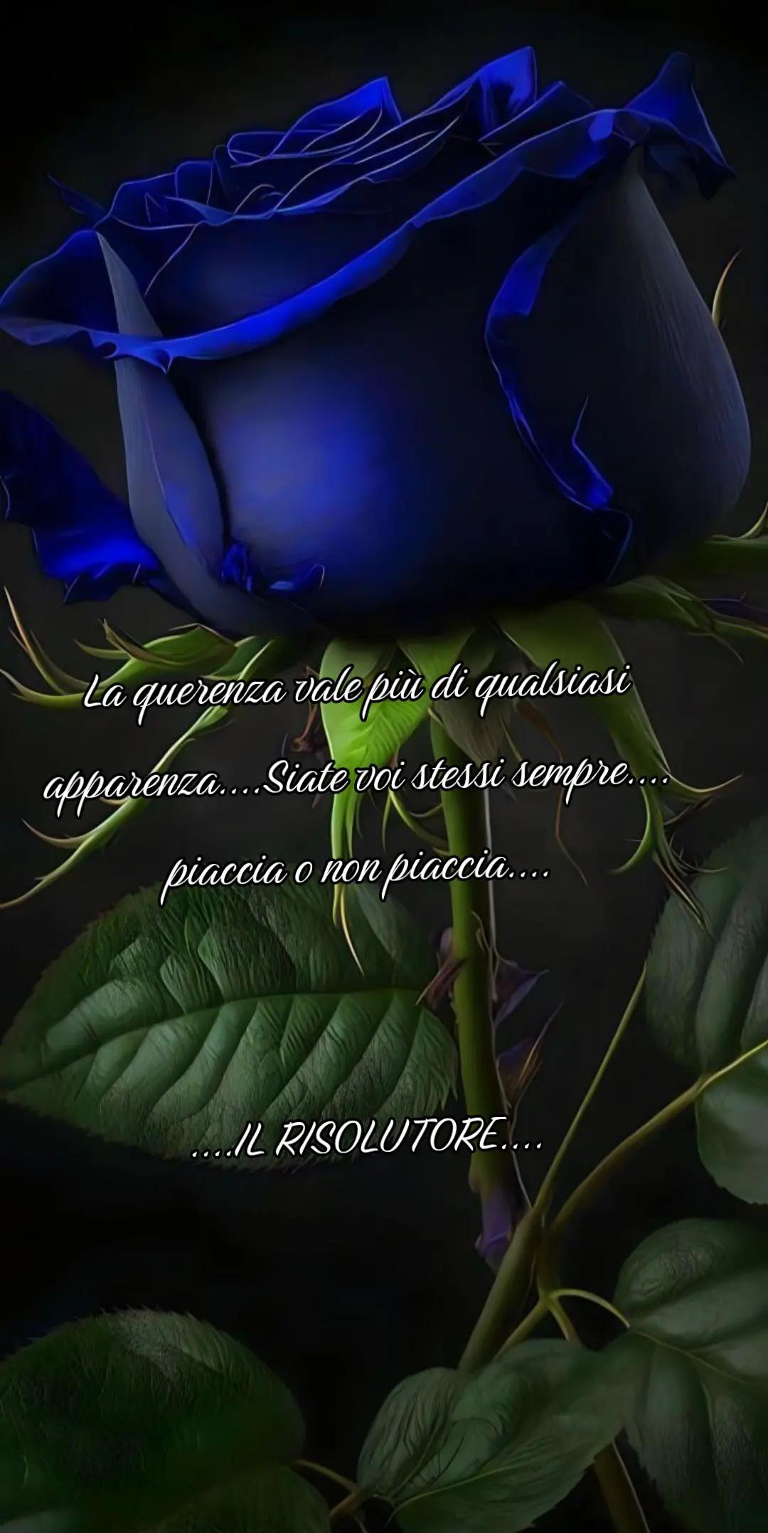 @IL RISOLUTORE...