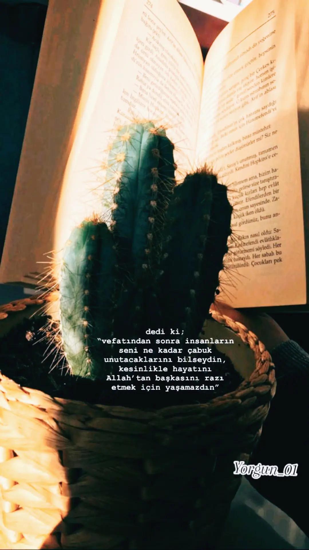 @Yorgun_01