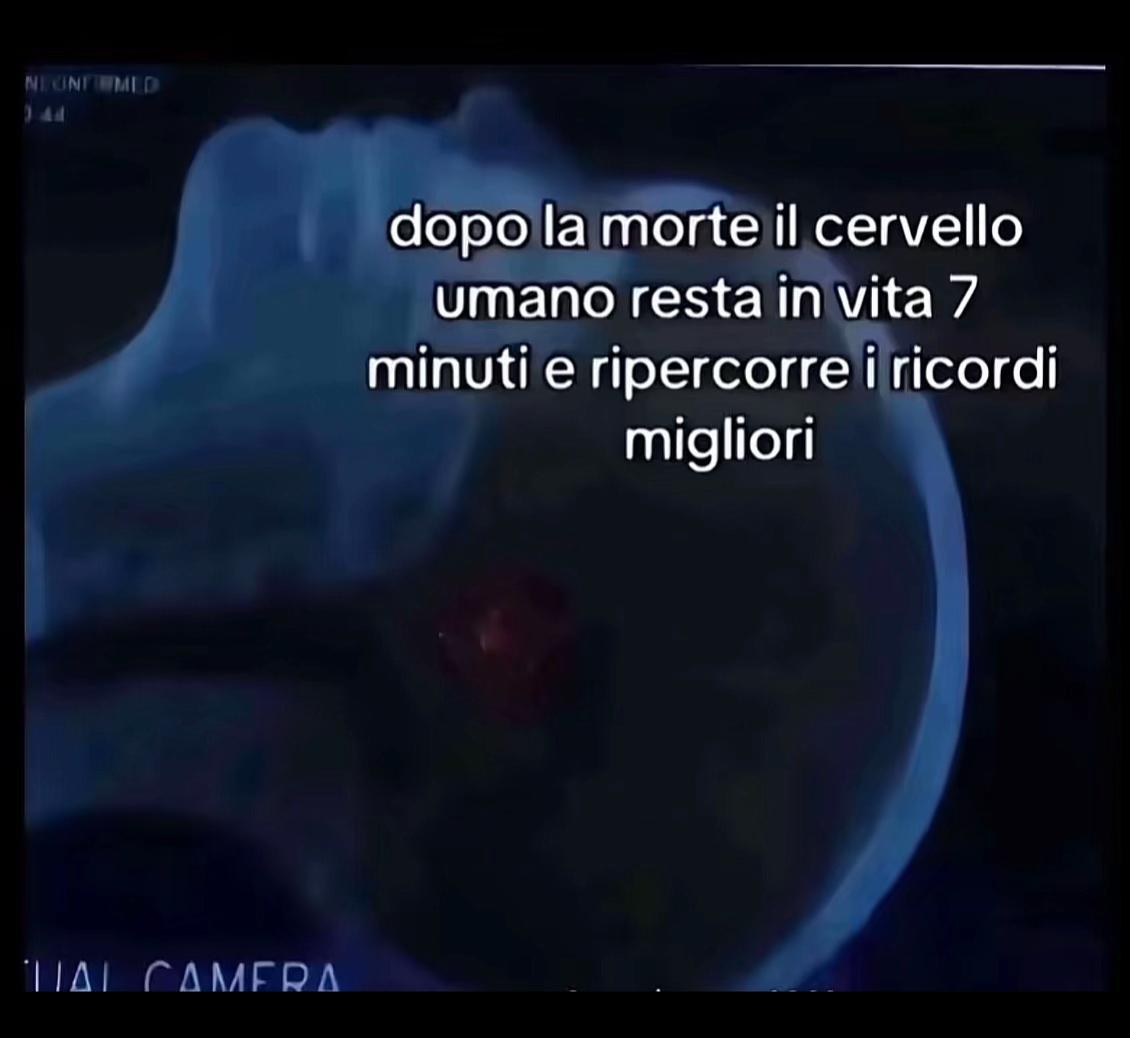 @francesca_cfr