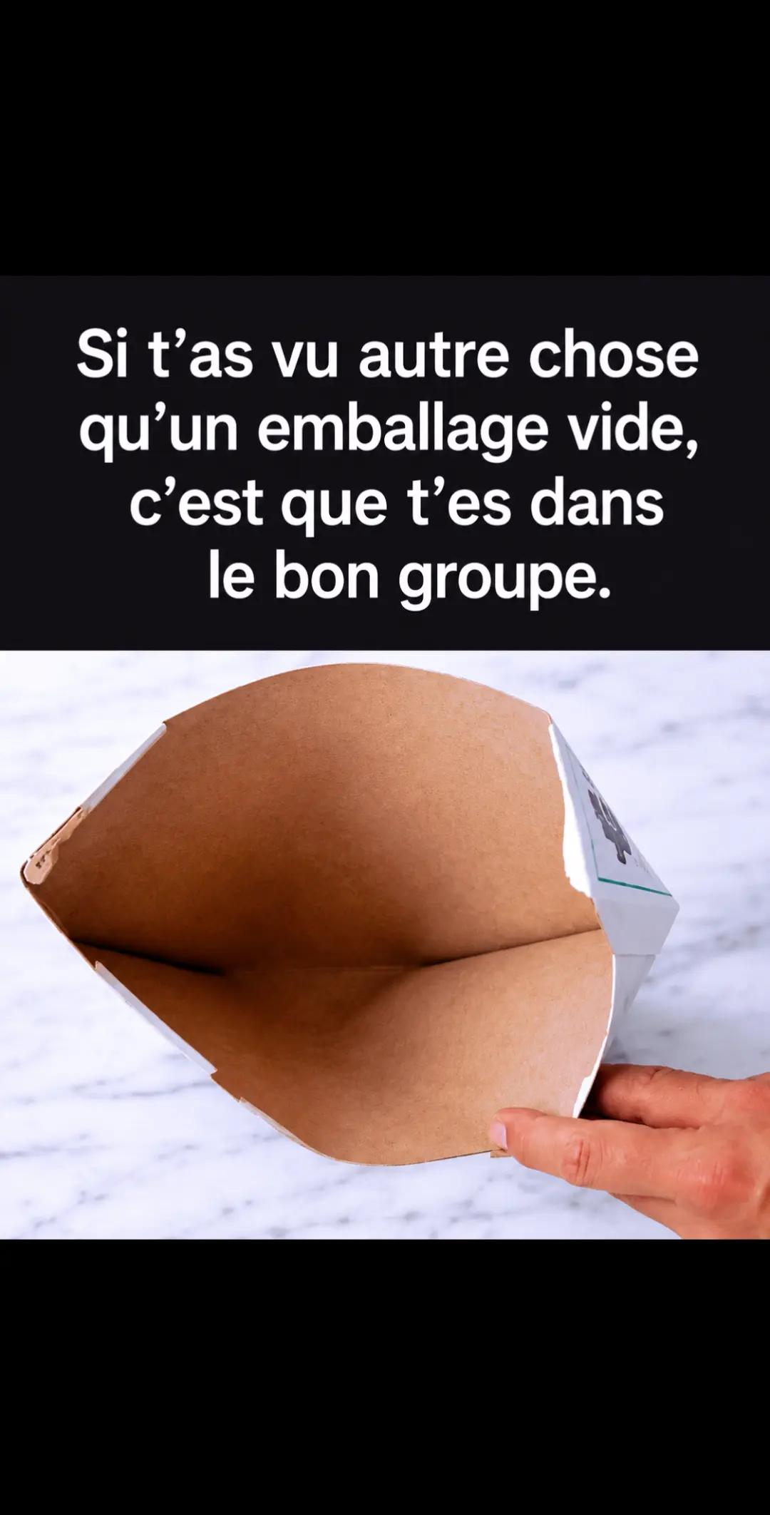 @𝘼𝙣𝙞𝙢𝙖𝙡𝙑𝙞𝙗𝙚