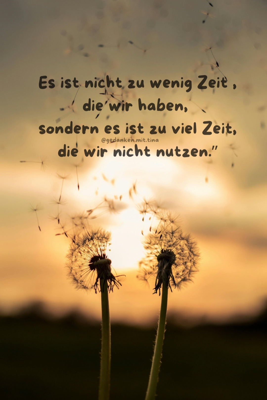 @@gedanken.mit.tina 🖋️