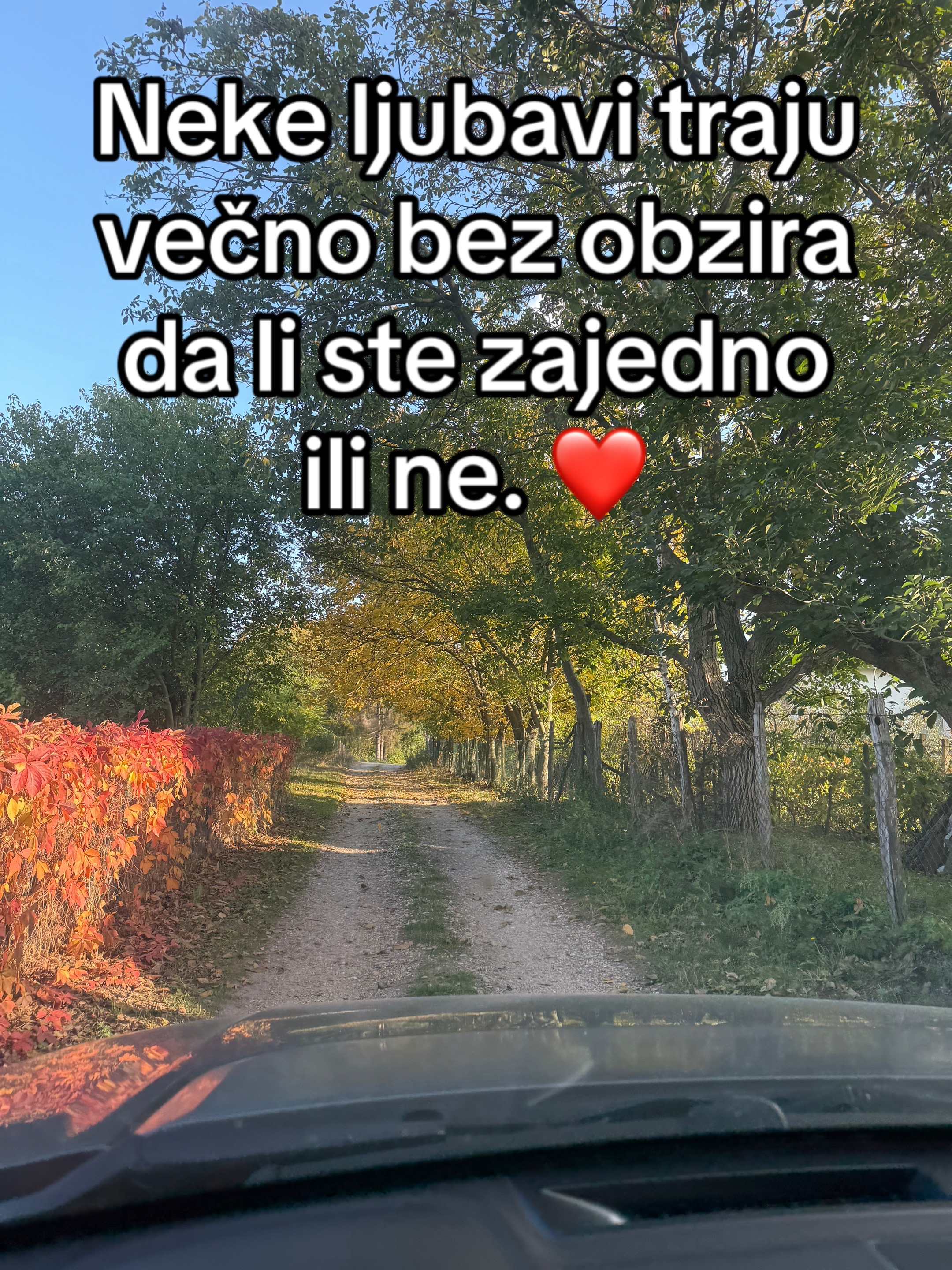 @Gospodjica.Violeta