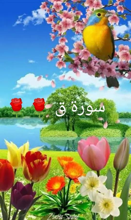 @💫 Mohamed 💫