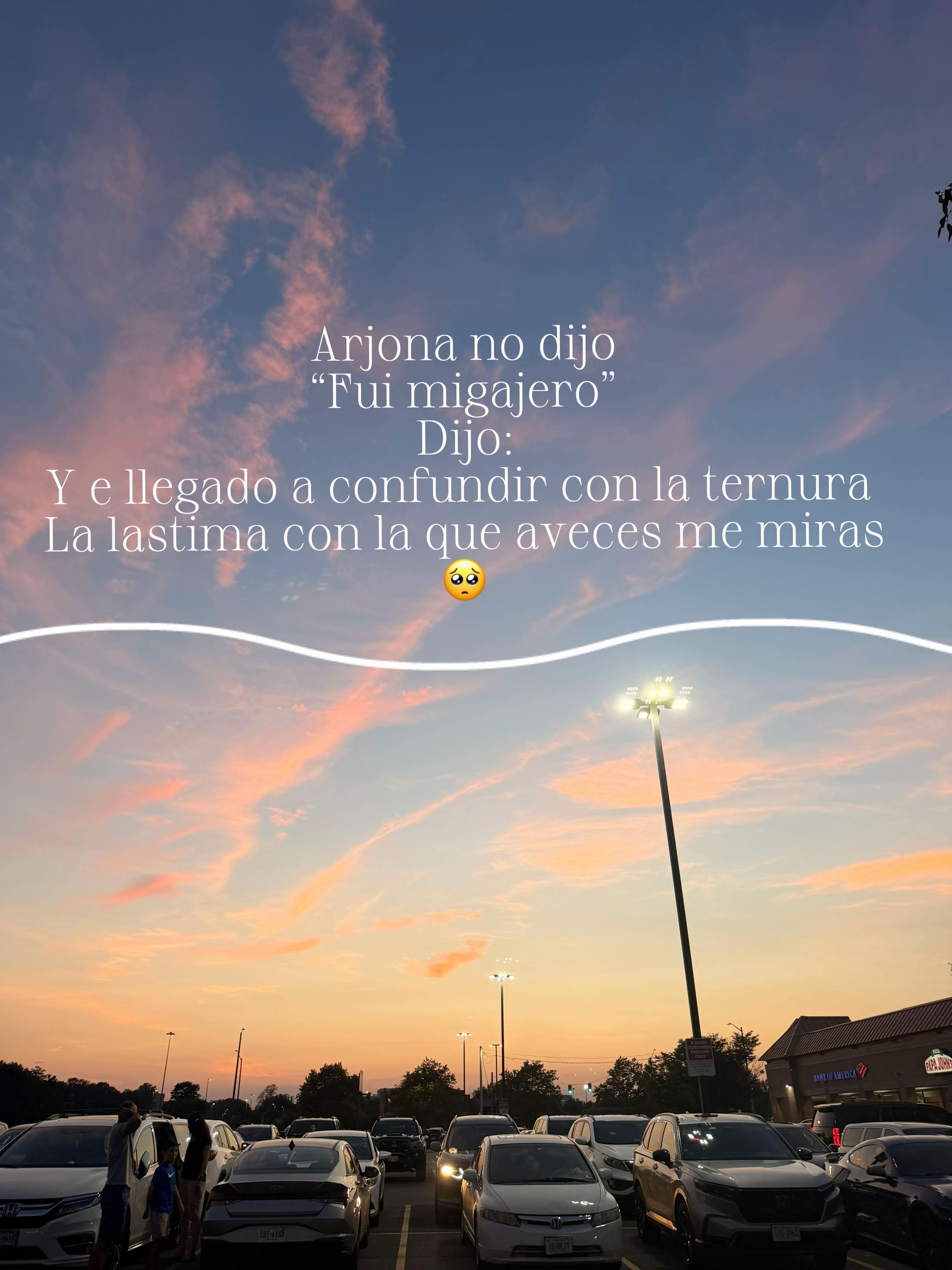 @sindyflores730