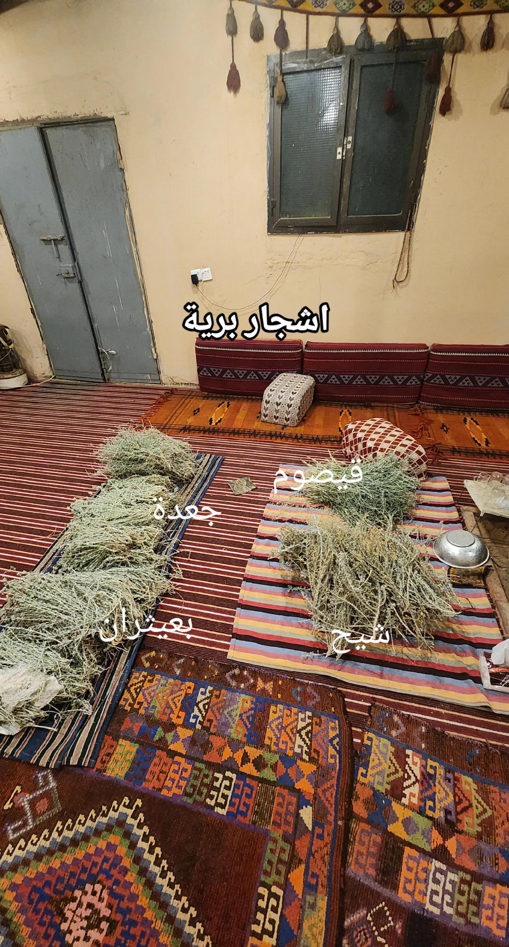 @عبدالله الشراري