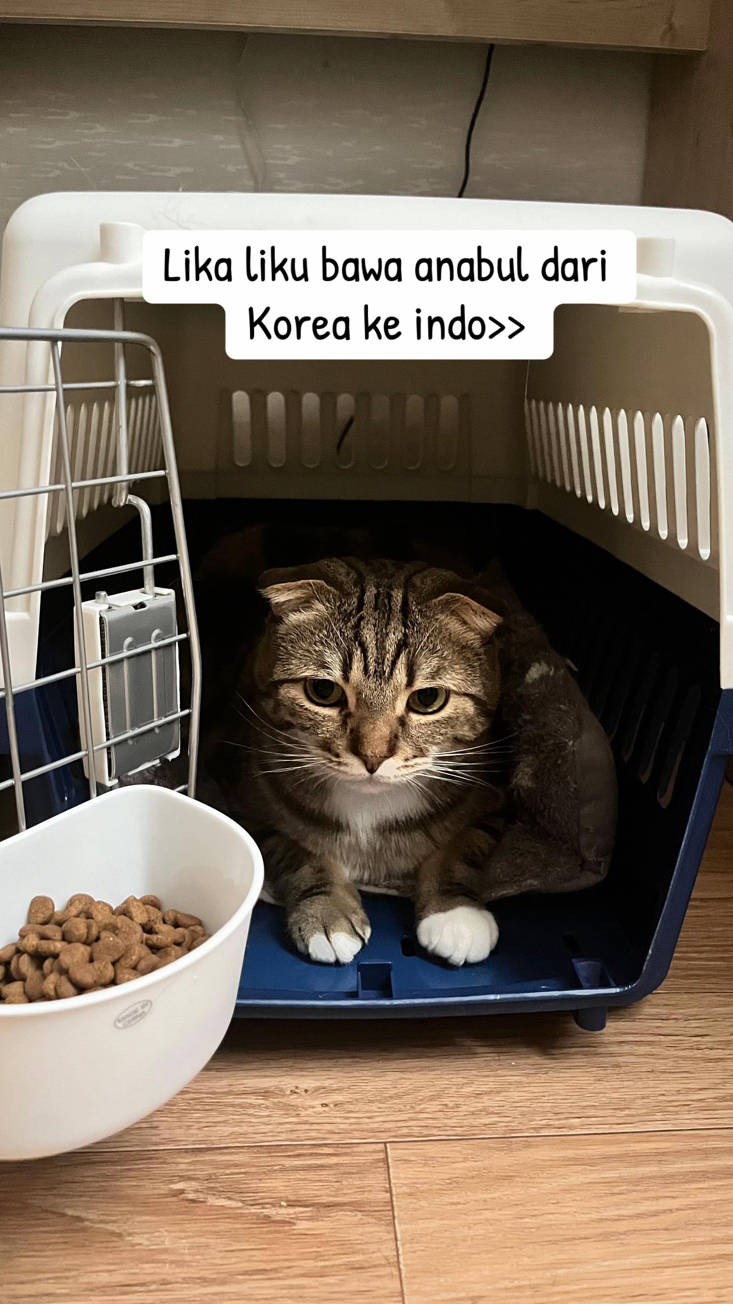 @Choco Late