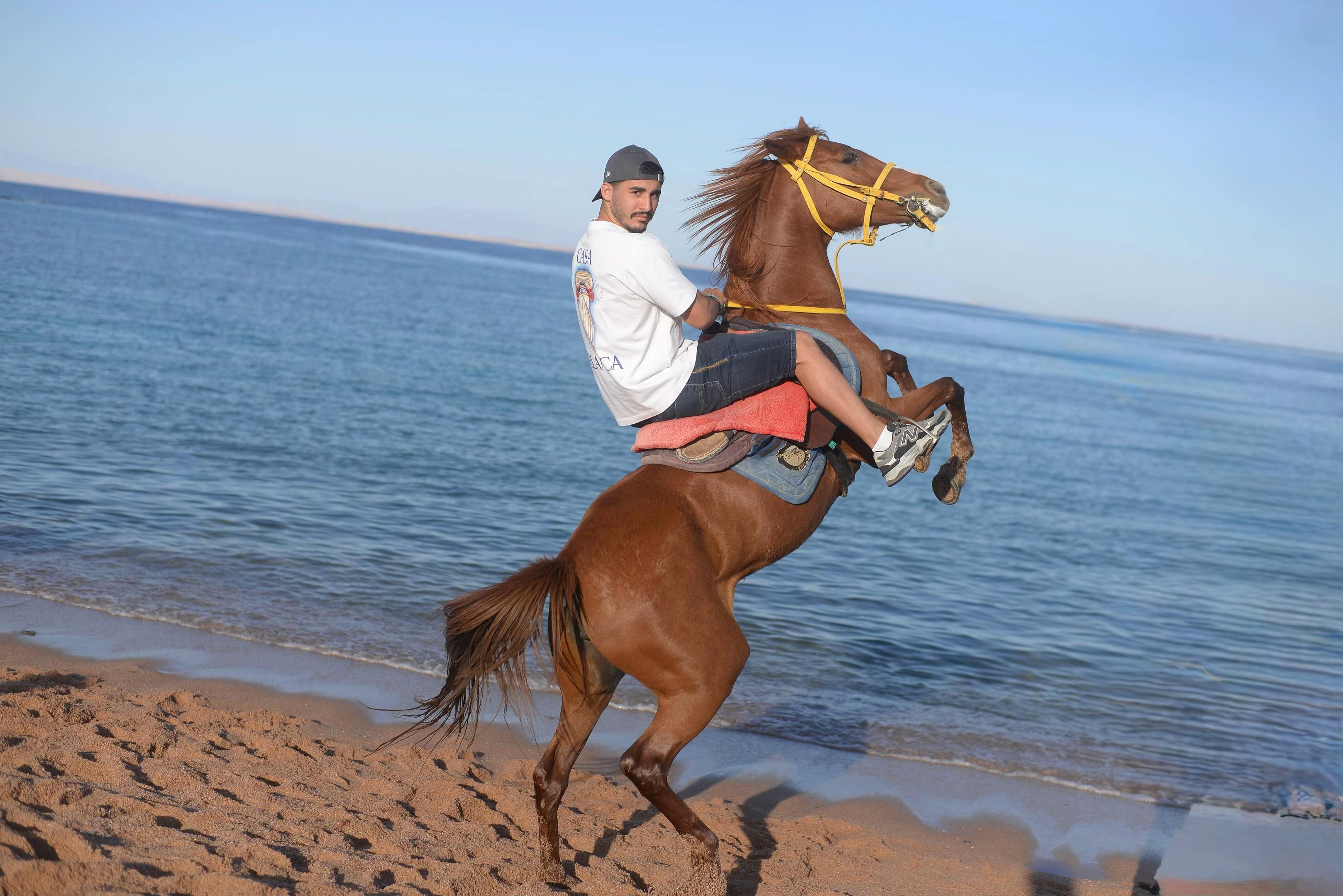 @Majd gargor21