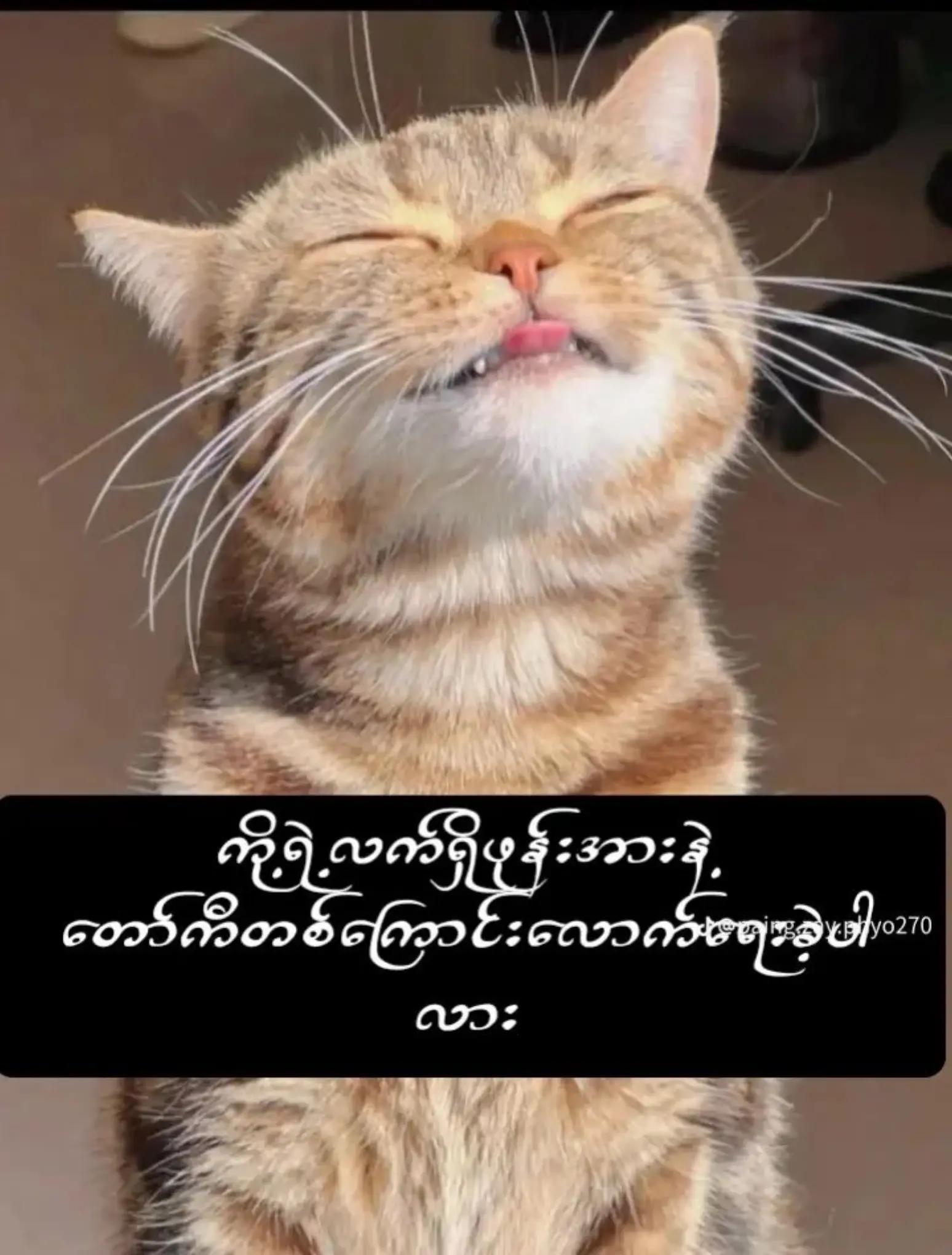 @ðKhaing Khaingð