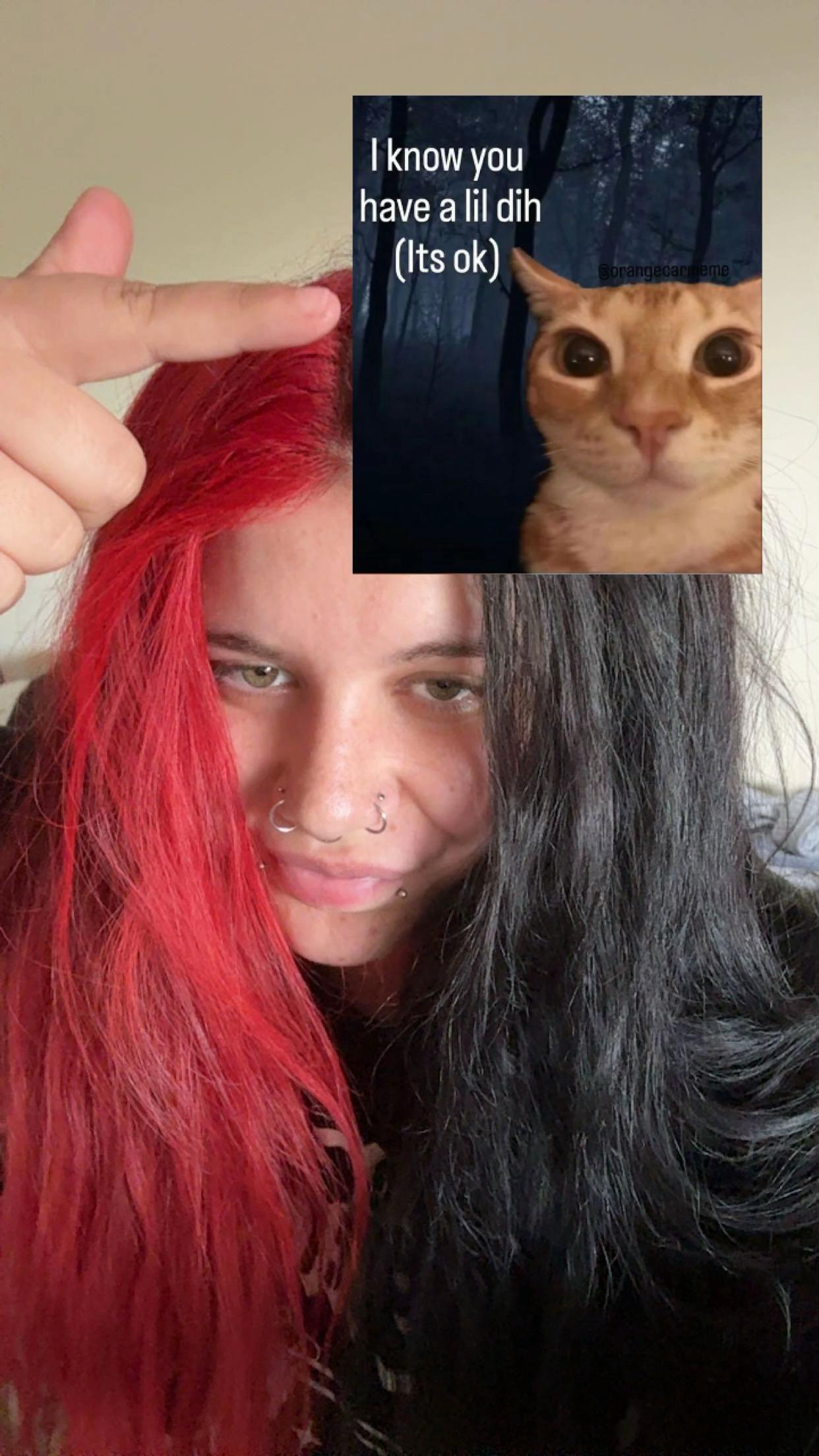 @trxshbxby
