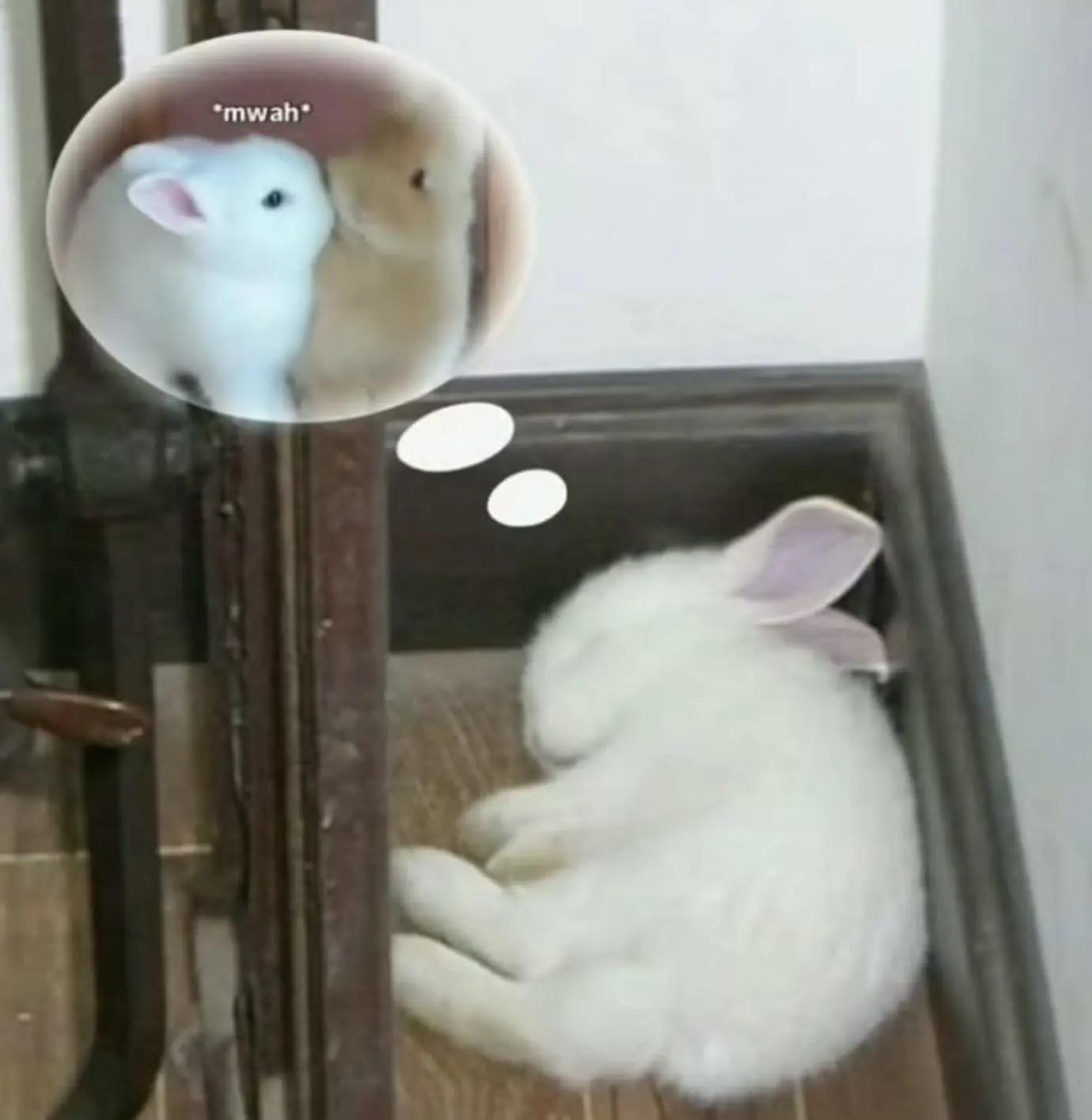 @Gia 𝄞⨾𓍢ִ໋