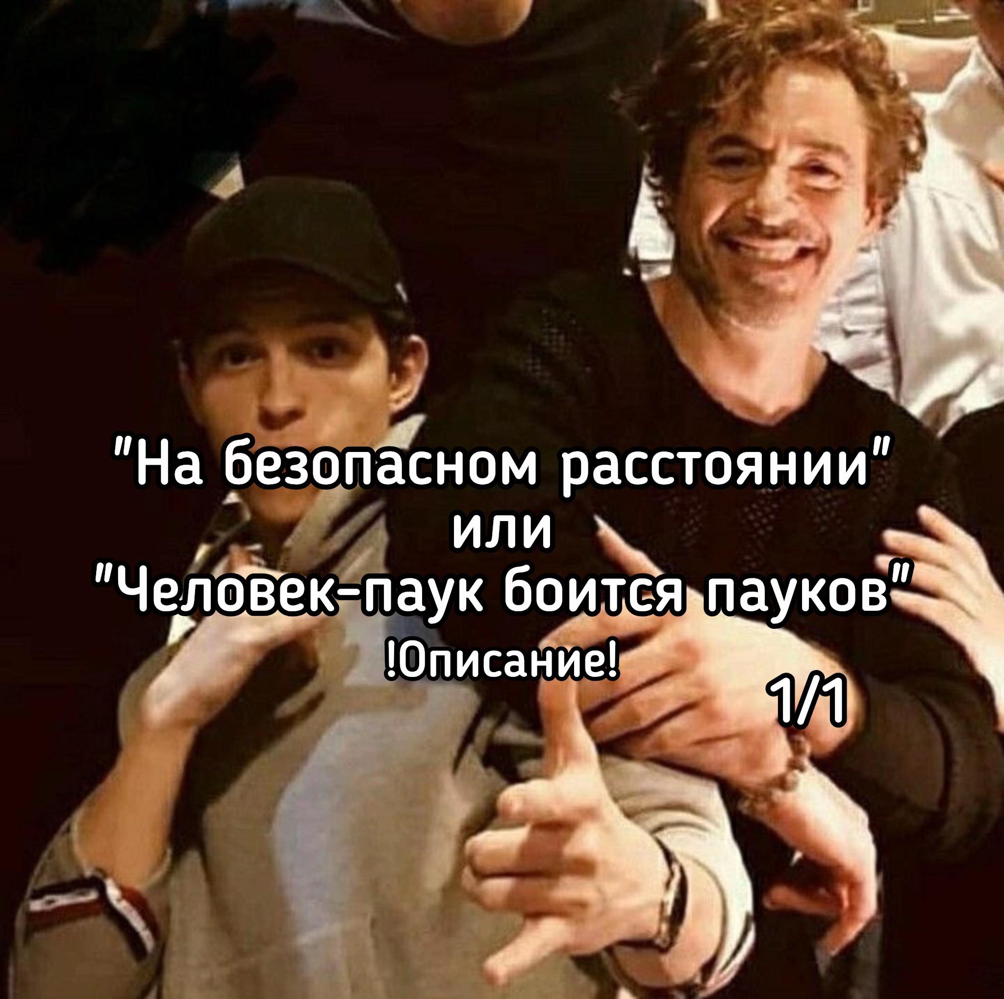 @wylleni_