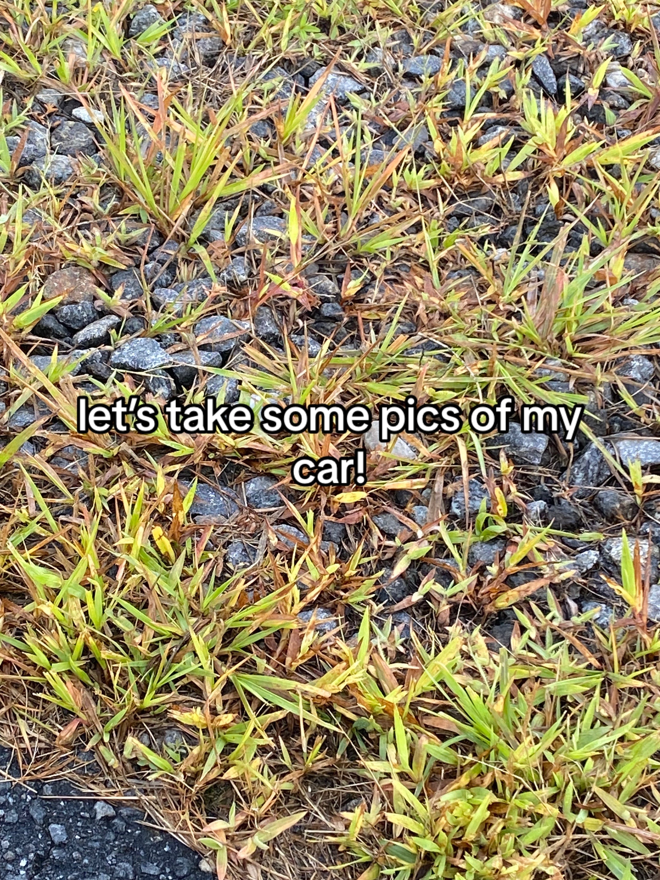@Rye