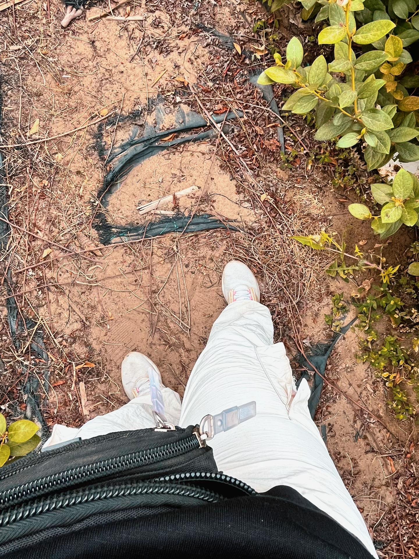 @𝐾𝑒𝑦 𝐽𝑖𝑚𝑒𝑛𝑒𝑧