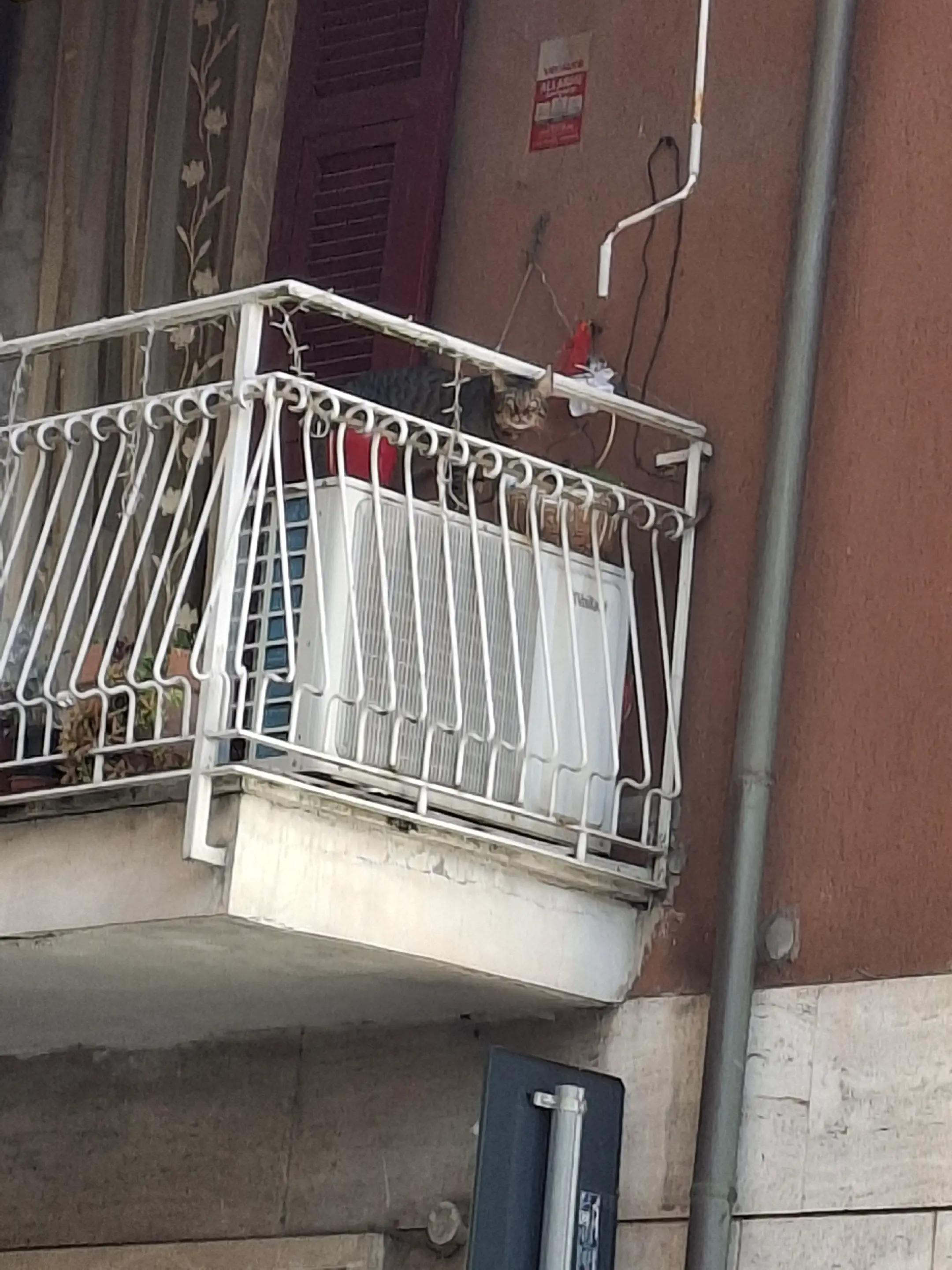 @Silene Di Muro