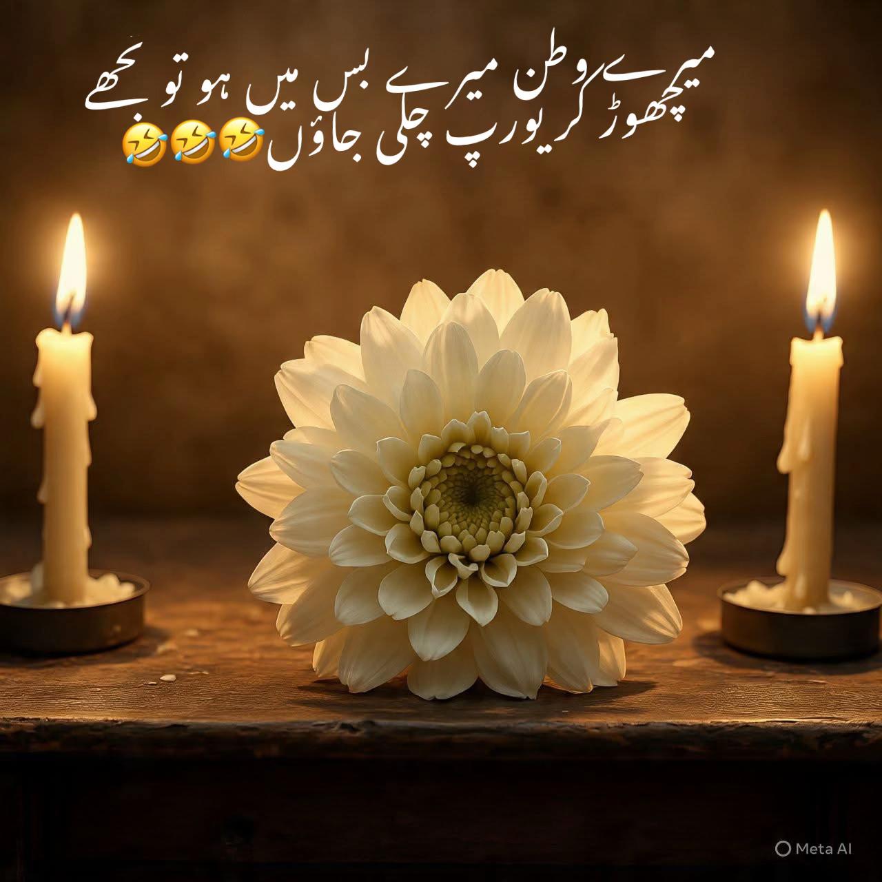 @noorfa15653297132