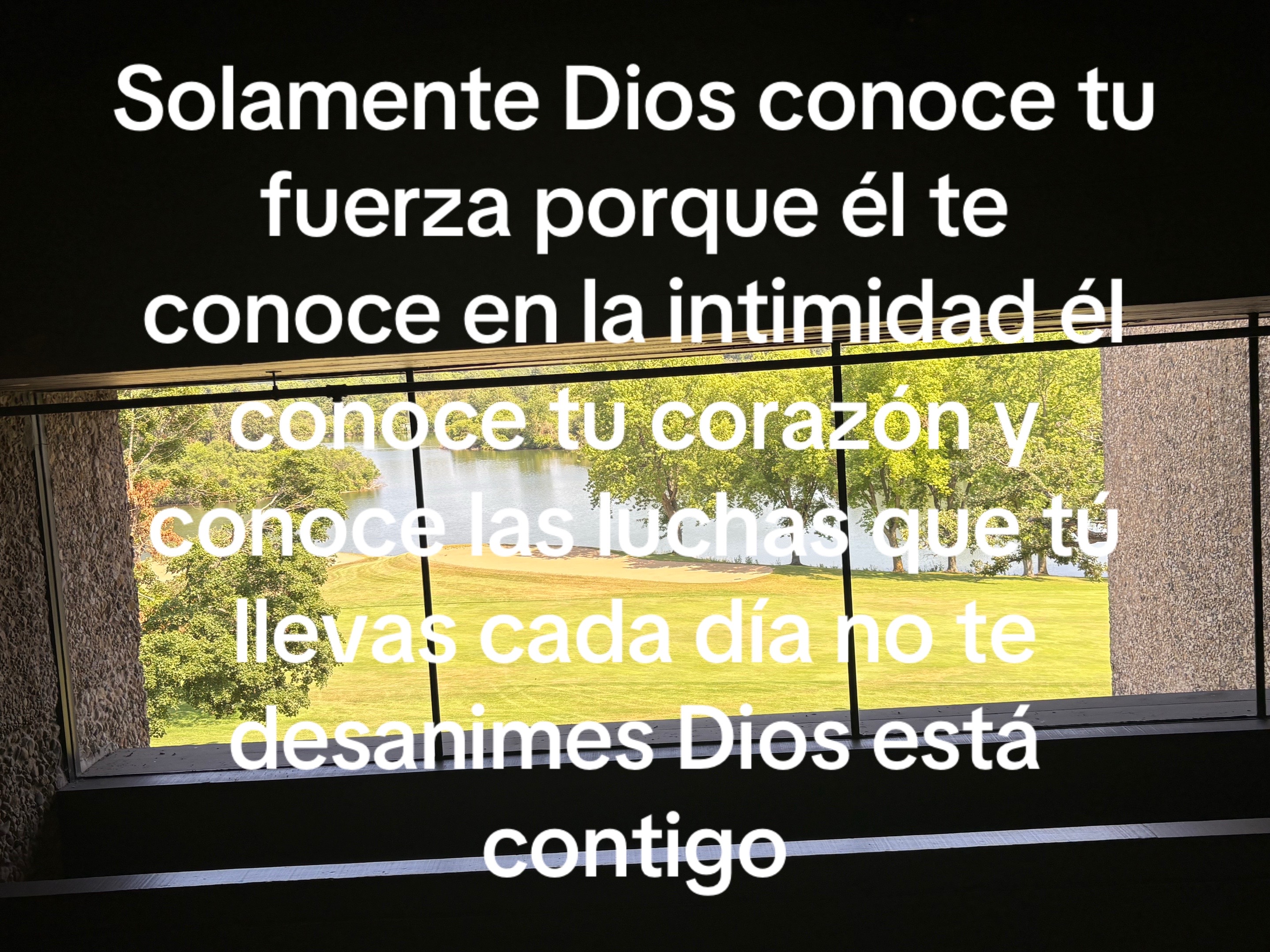 @Araceli vences