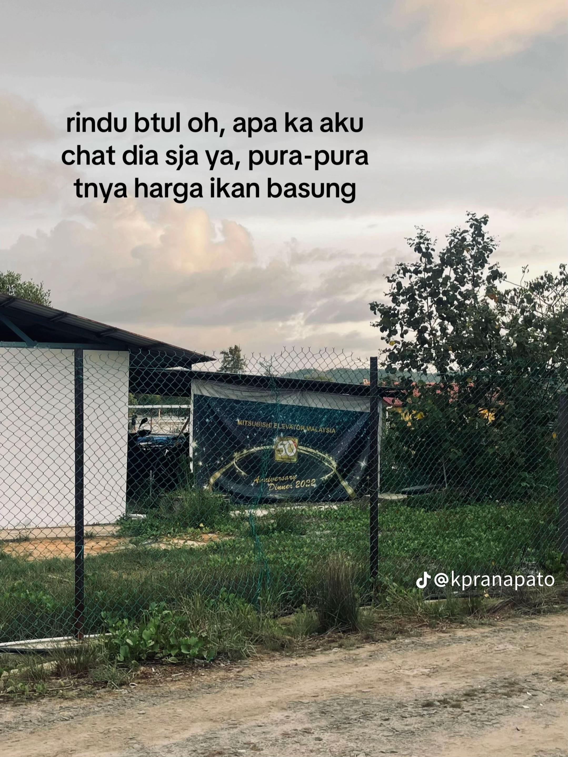 @qdz
