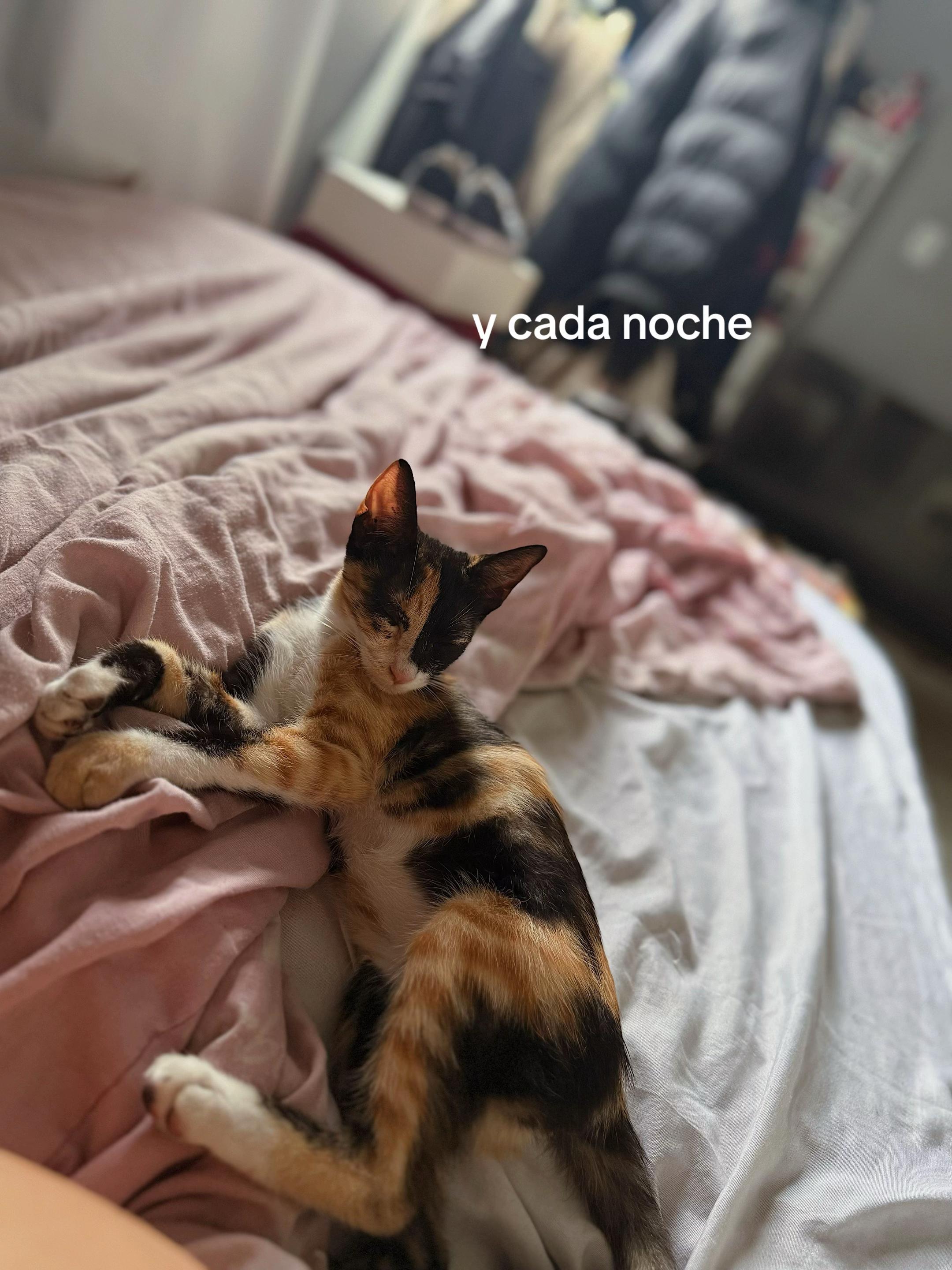 @sol