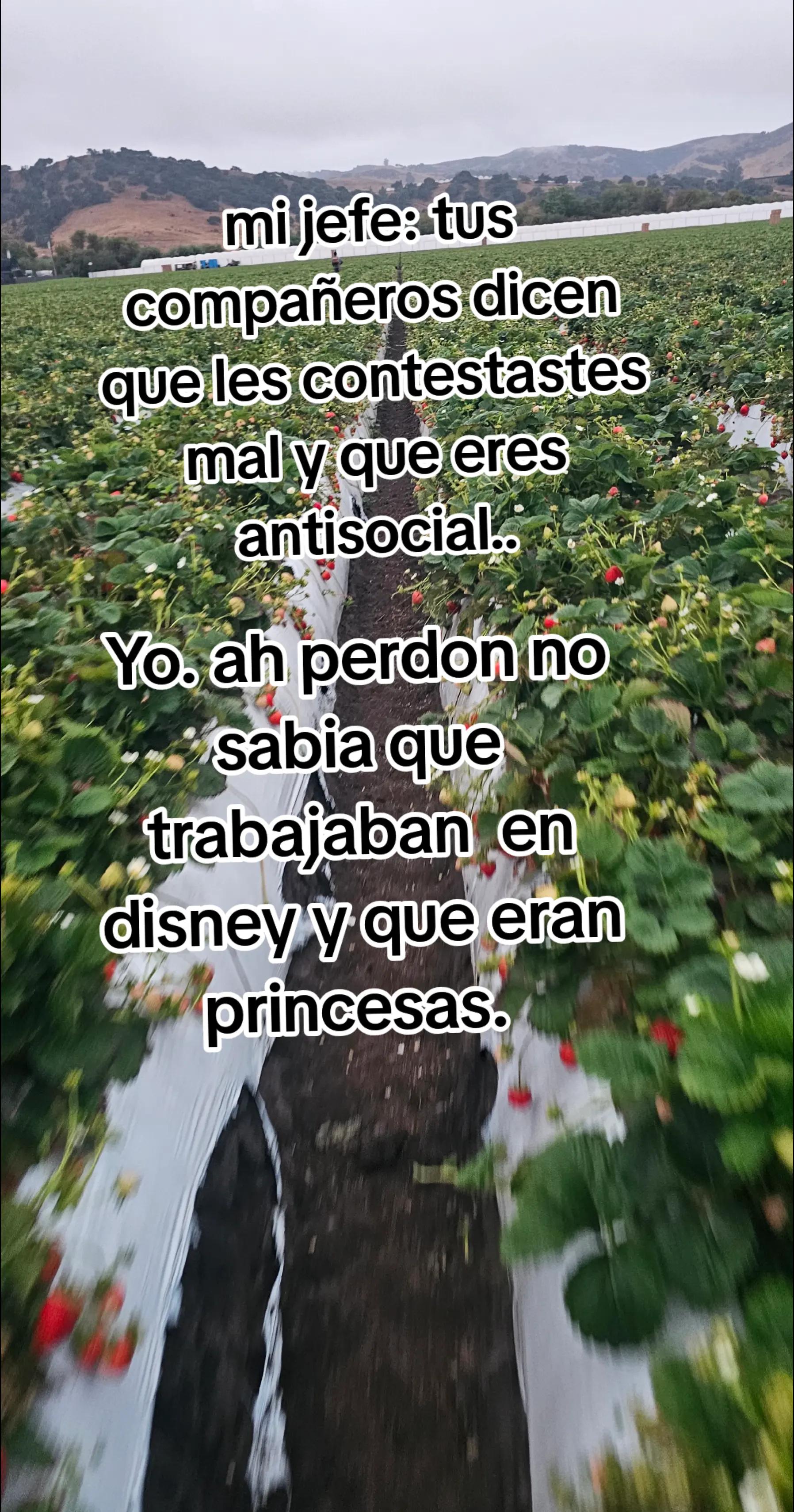 @🇲🇽🐦⬛🪺VASQUEZ🚚🌪💎