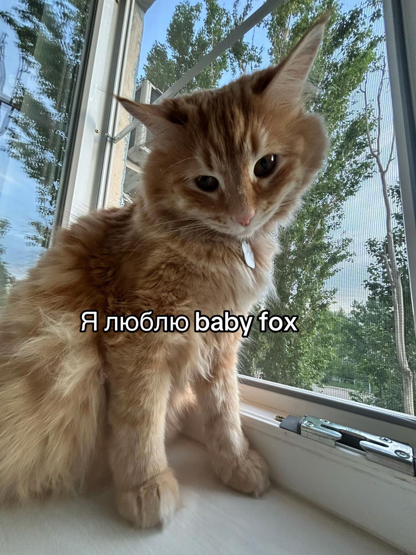 @monokova🪐