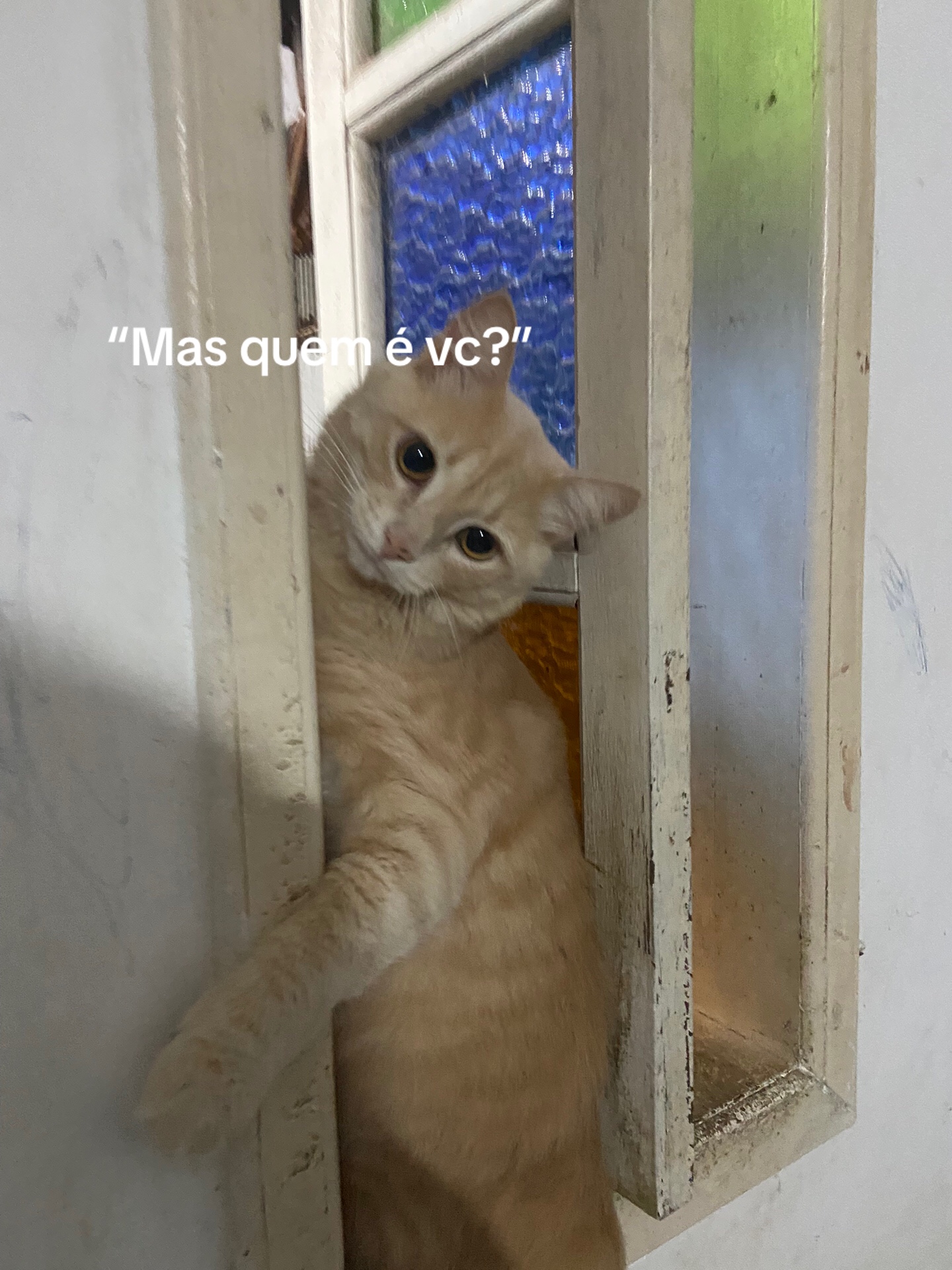 @Pᥱ́r᥆ᥣᥲ ᥱ ᥴᥲριtᥲ̃᥆