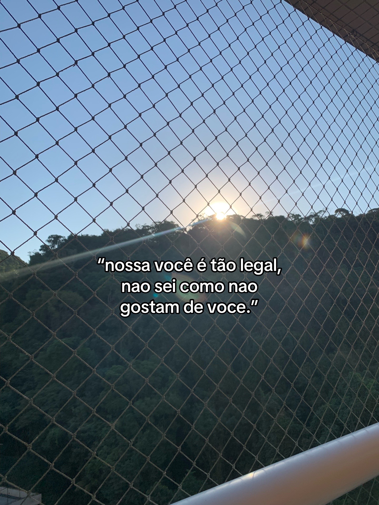 @‧₊ ⌗ 𝑩ꫀℓ⍺ ! ۪🍾໑