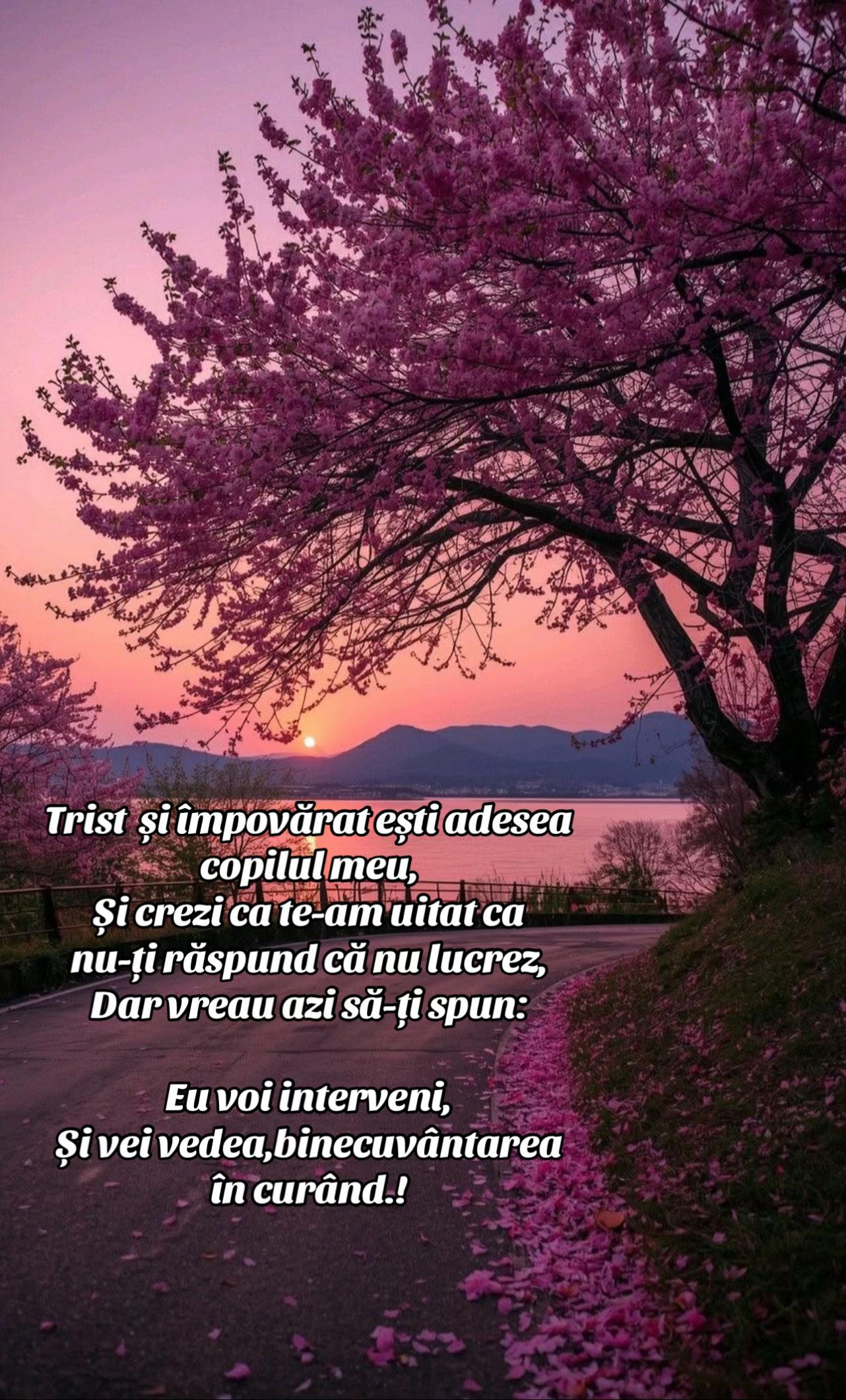 @🌸🕊️𝓡𝓮𝓫𝓮𝒄𝒂🕊️🌸