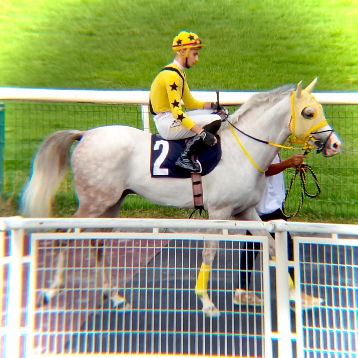 @brs horse racing