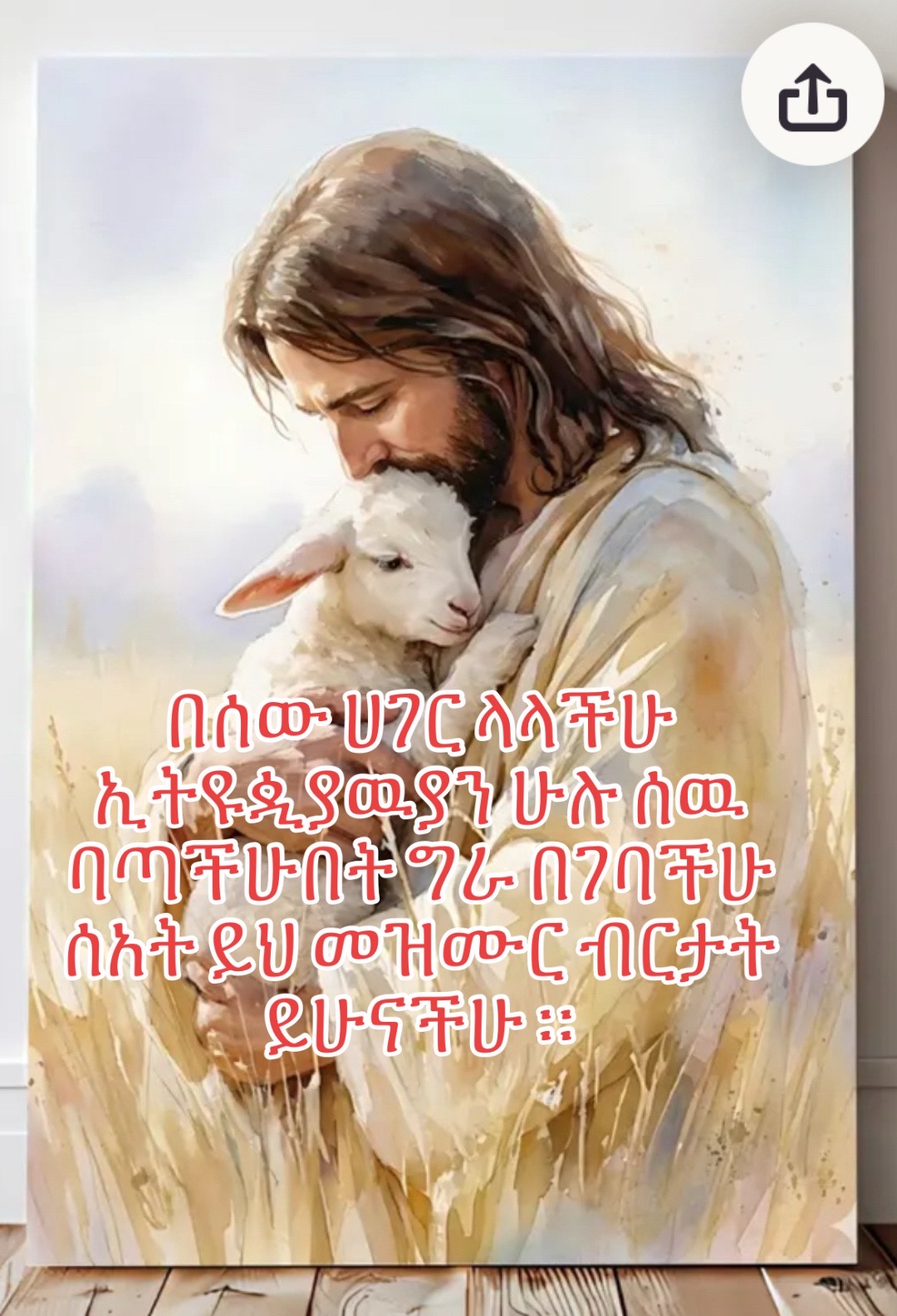@แแ /แจแ ๐ช๐น๐บ๐ธ