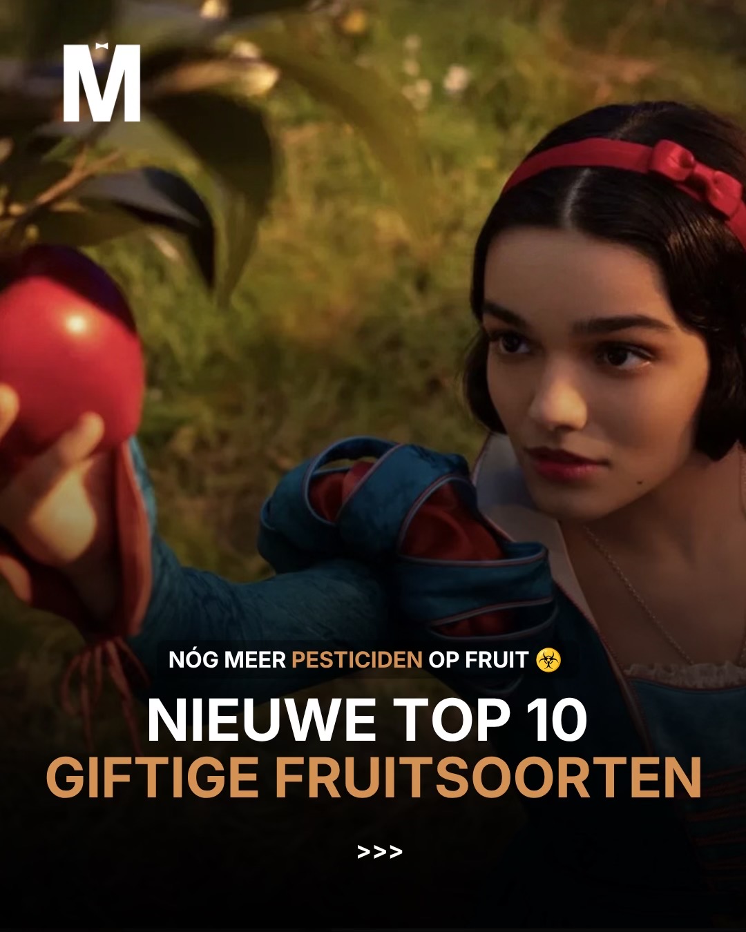 @mannersnl