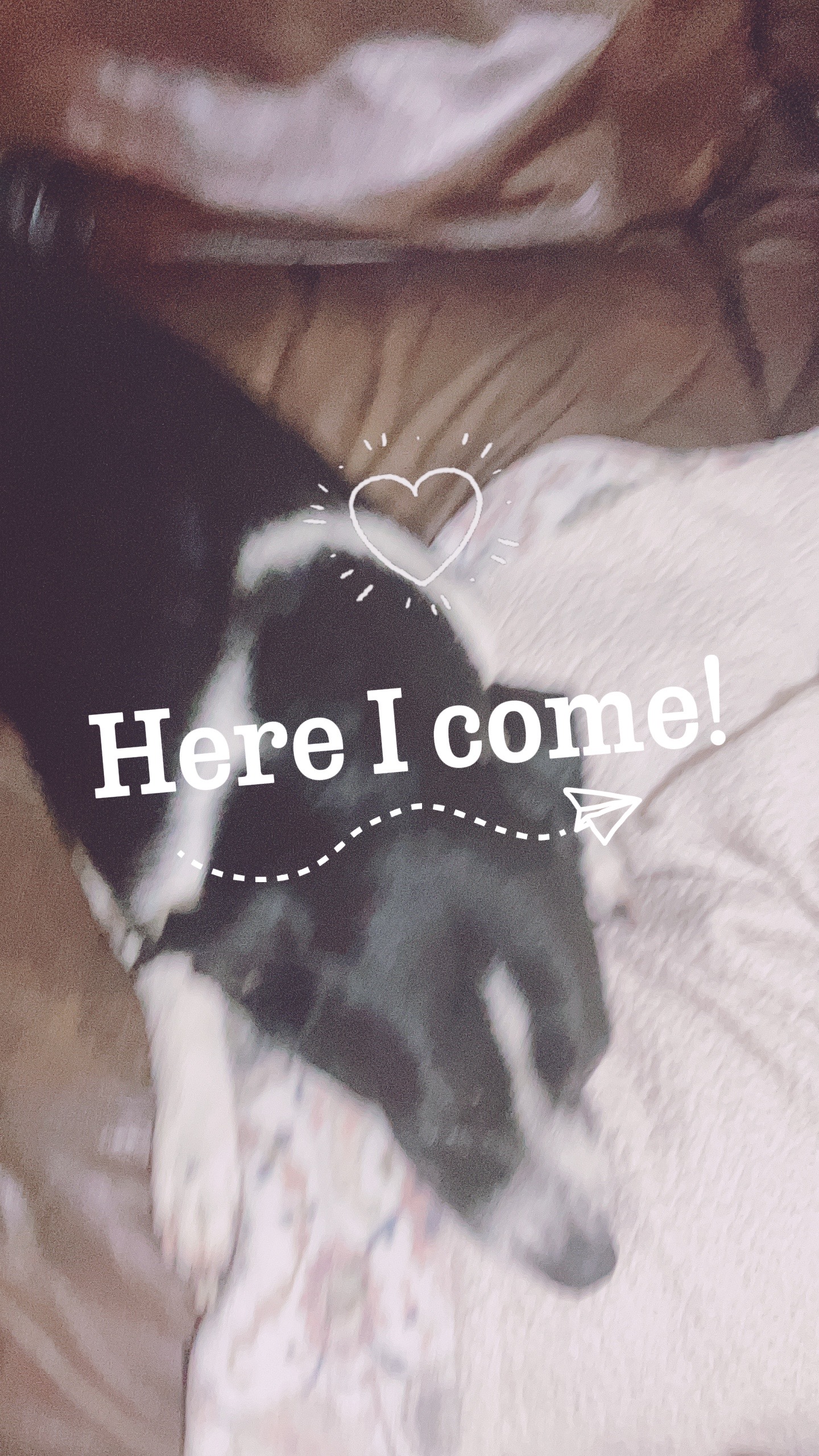 @Jaelyn and Stoney : )