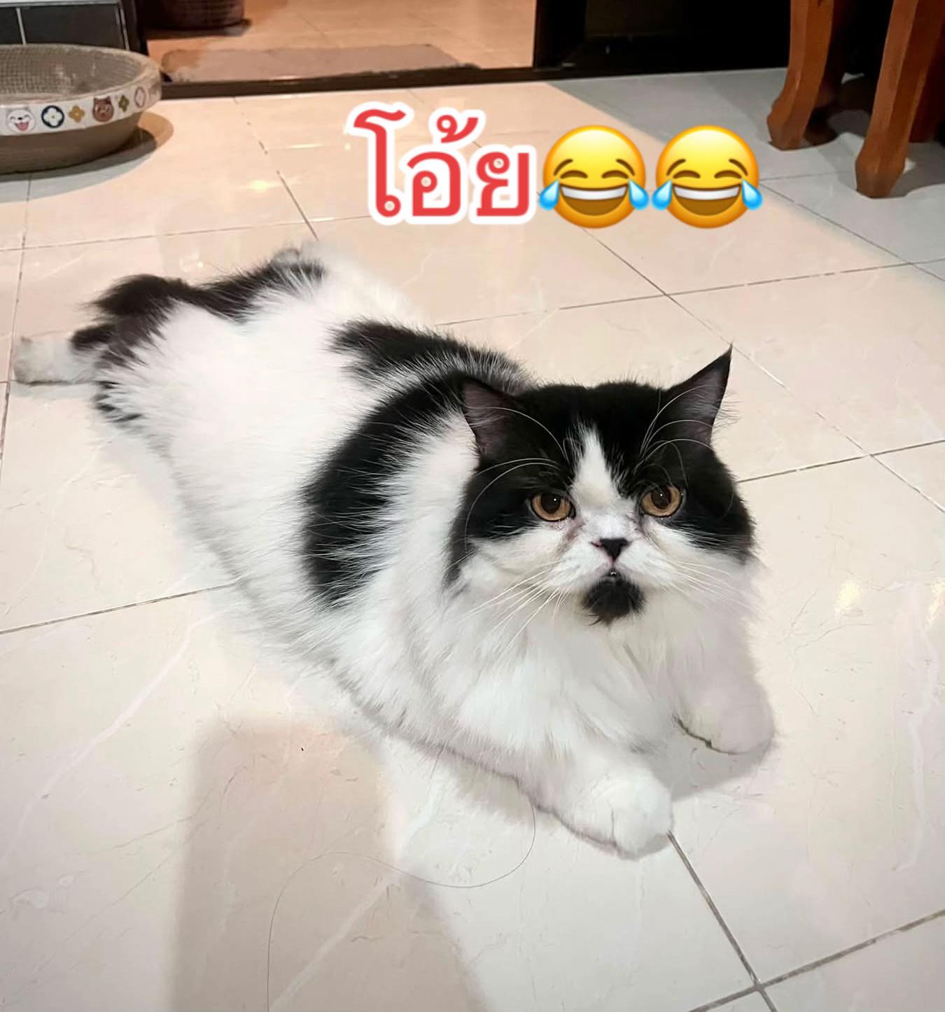 @TT✌️