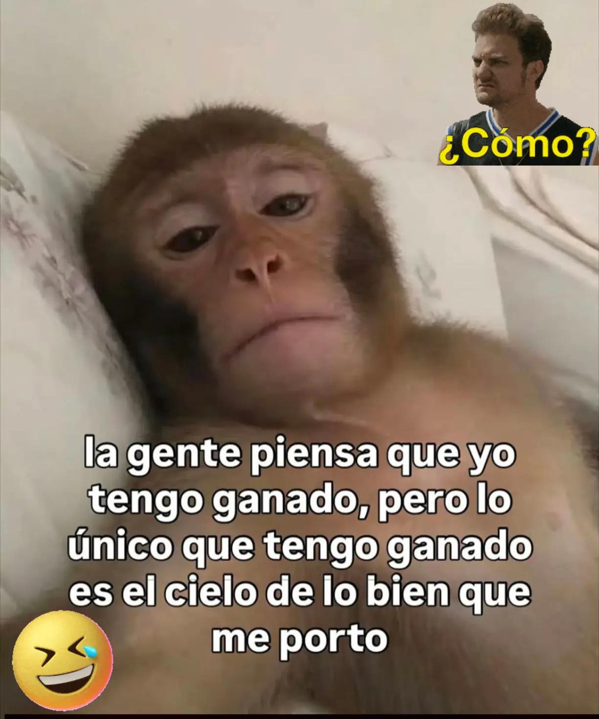 @Luis Trejo Piscui